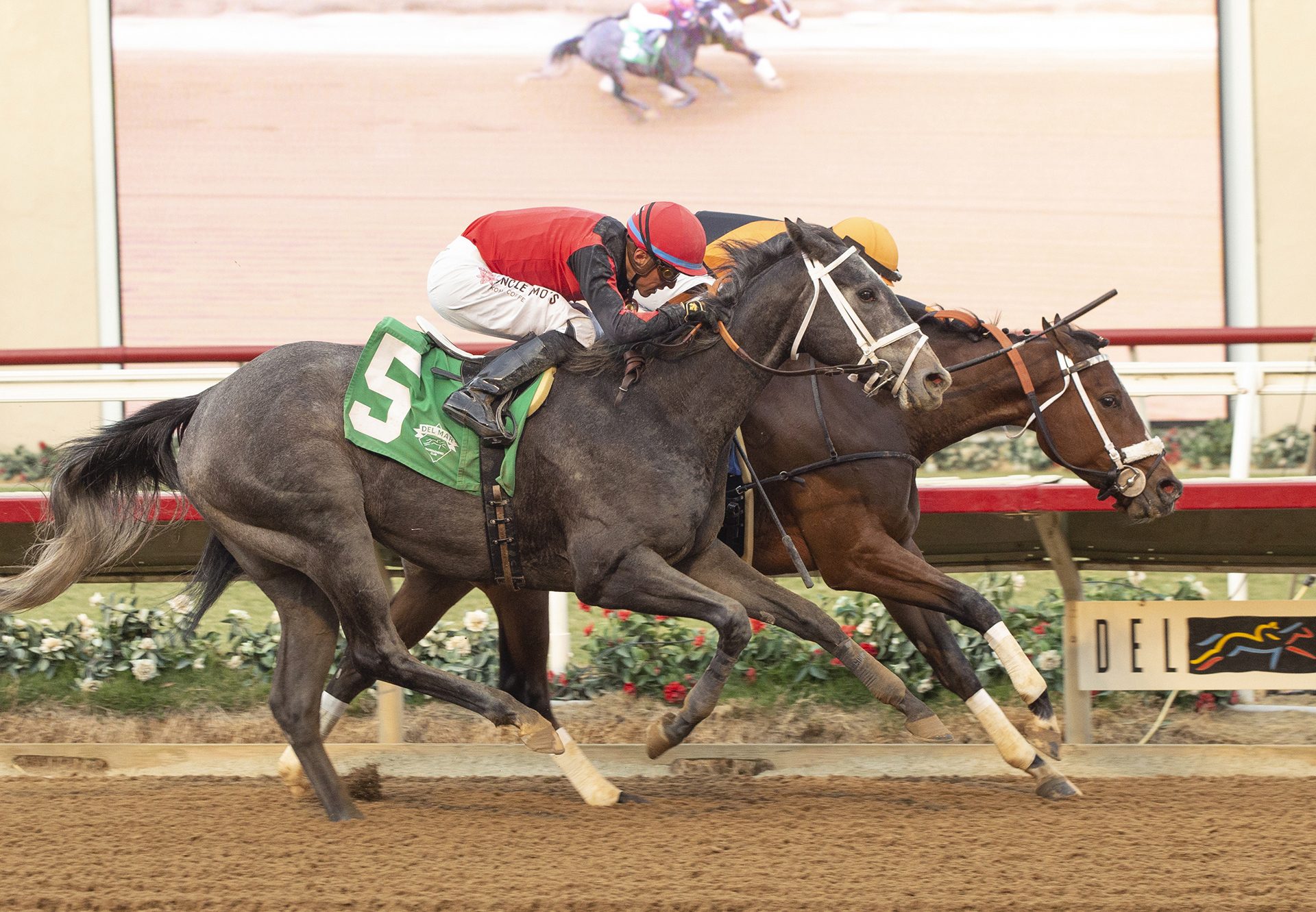 Cholly (Mo Town) Wins Del Mar MSW