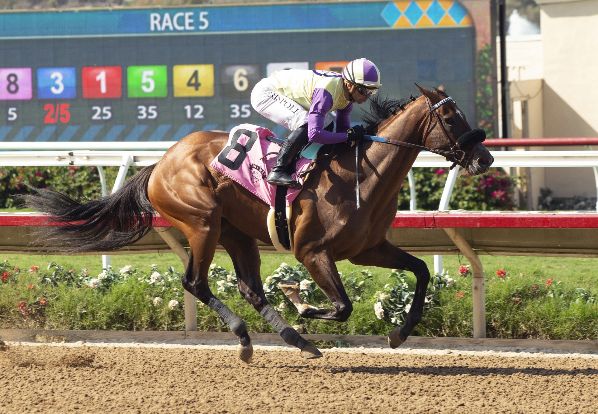 Classical Cat (Mendelssohn) Wins Del Mar MSW