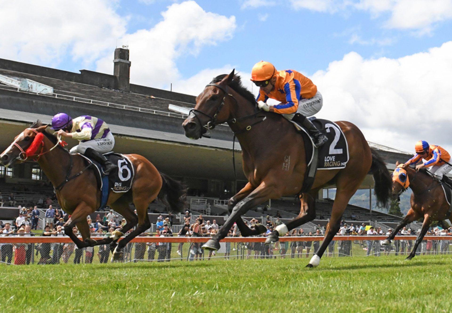 Cognito (So You Think) winning the Gr.2 Wellington Guineas at Trentham