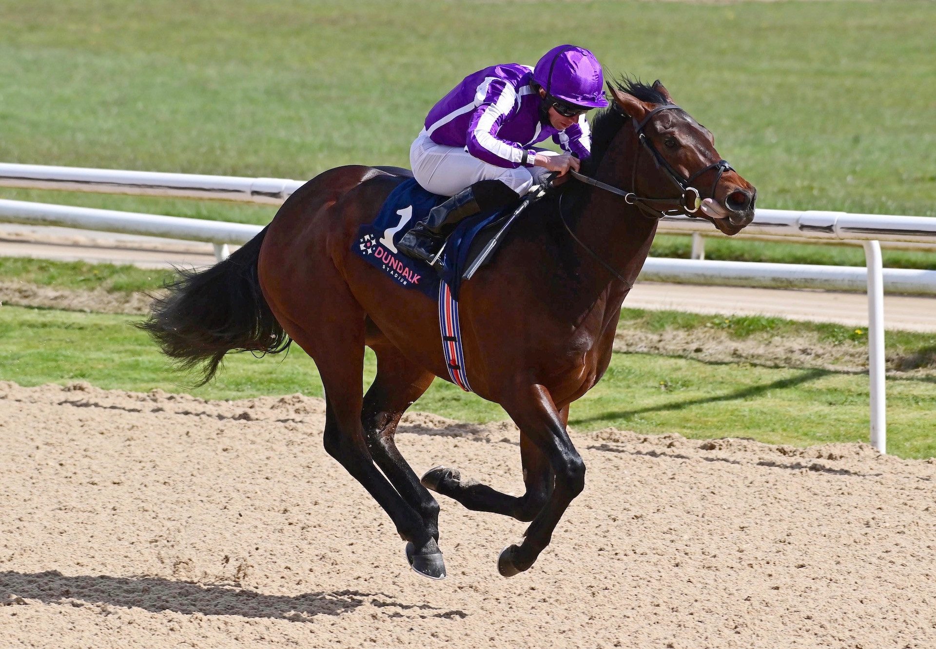 Cadamosto (No Nay Never) Makes A Winning Debut At Dundalk