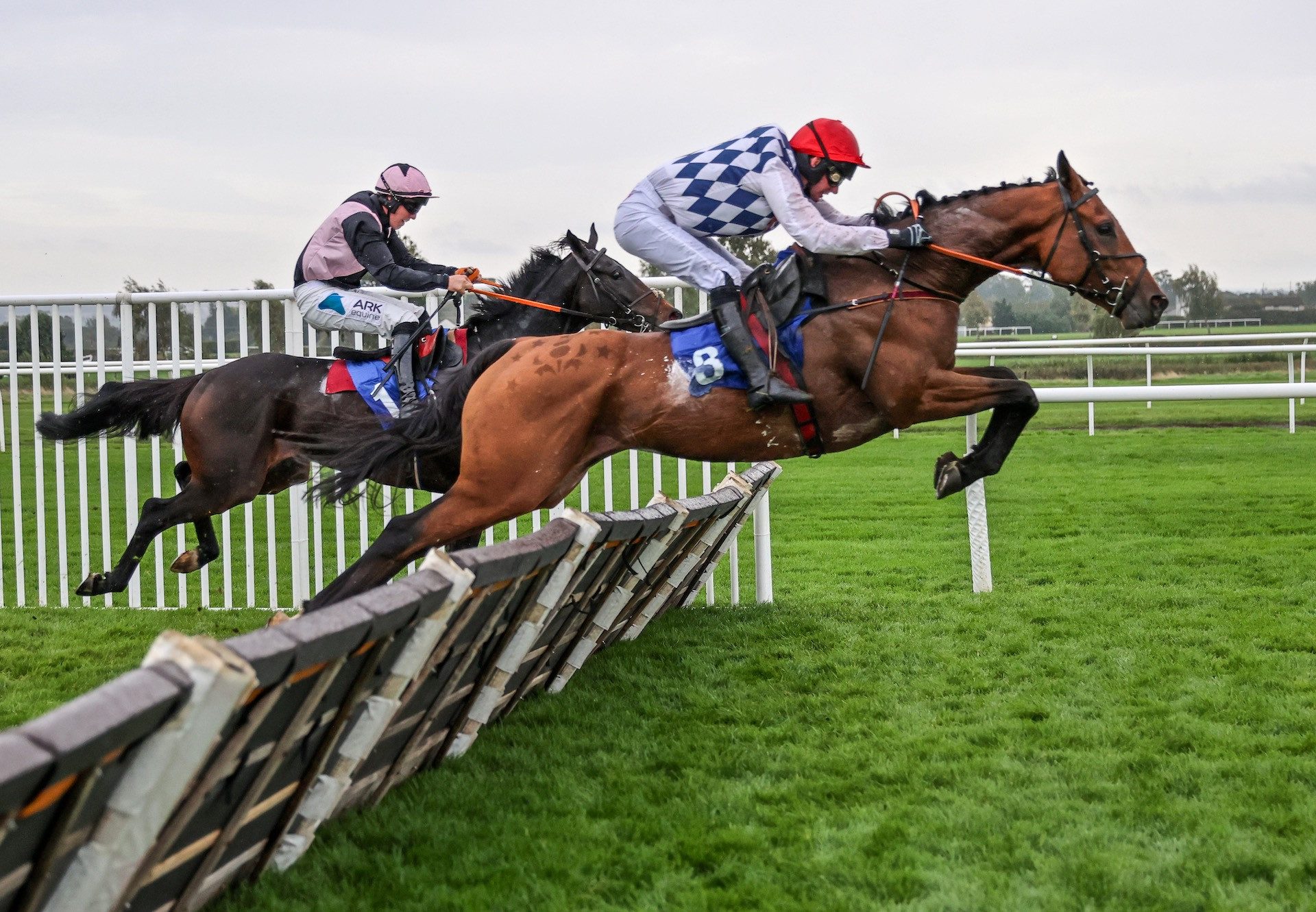 Cadell (Mahler) Wins On Hurdle Debut at Kelso