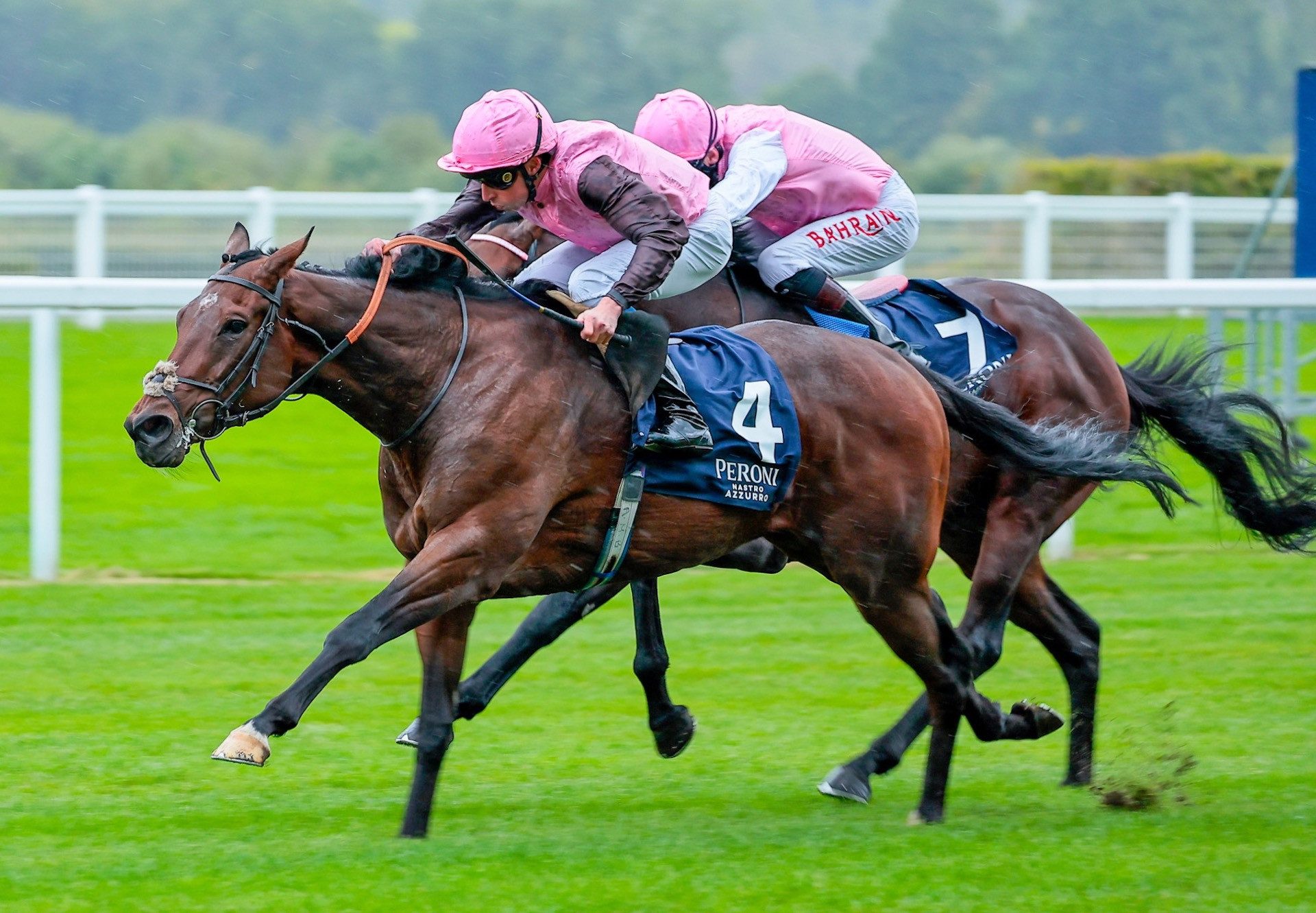 Cadmus (Gleneagles) Gains His Maiden Win At Ascot