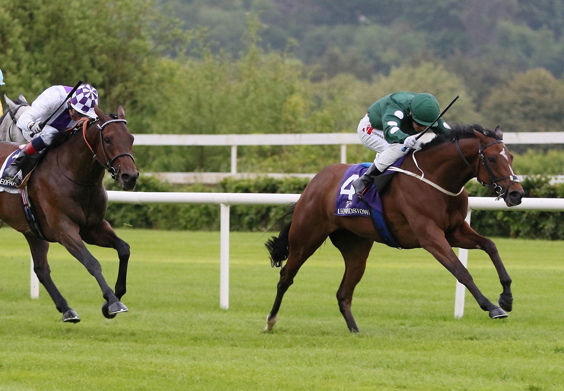 Cairde Go Deo (Camelot) Wins The Listed King George V Cup At Leopardstown