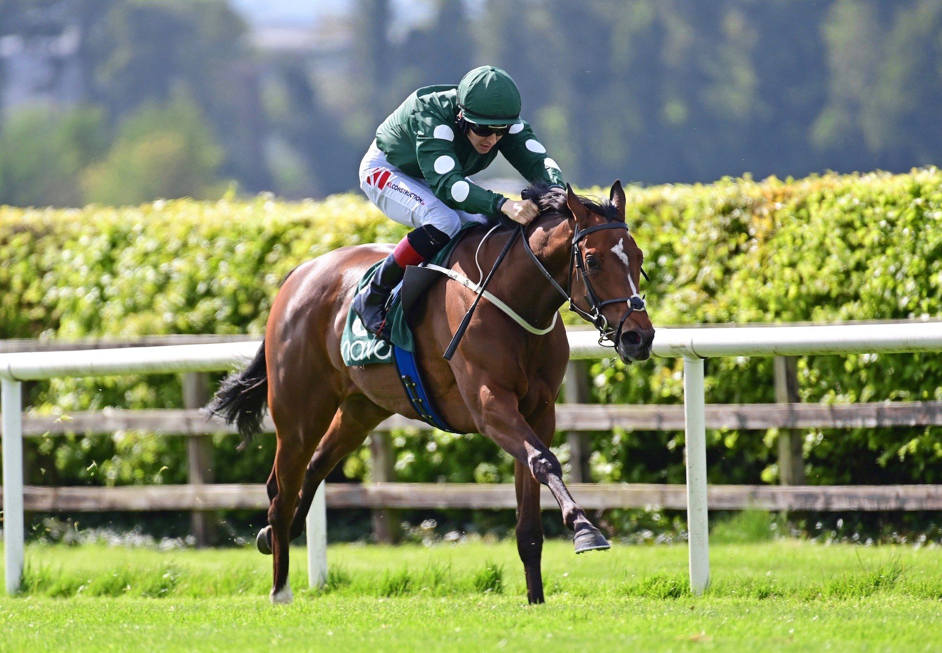 Cairde Go Deo (Camelot) Wins The Listed Yeats Stakes At Navan