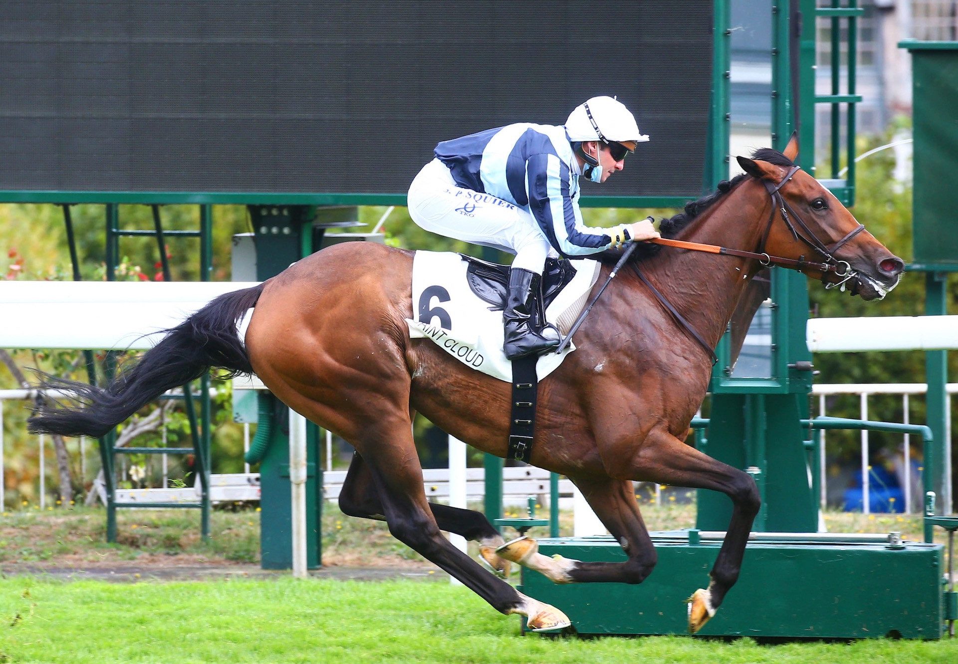 Calculating (Camelot) Wins At Saint Cloud