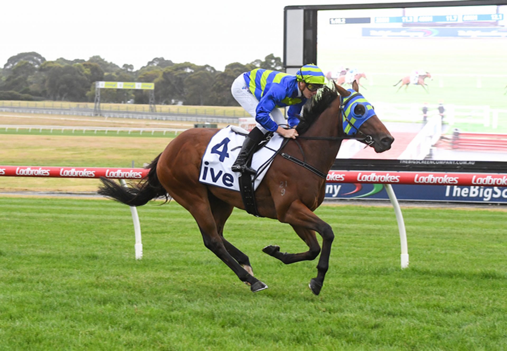 Calico Jack (Merchant Navy) winning at Sandown