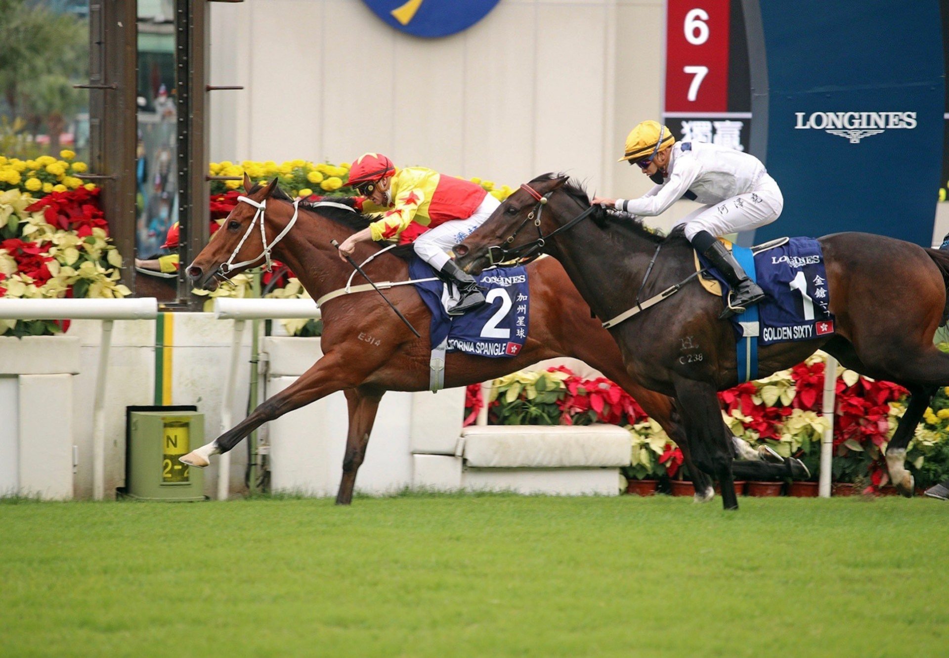 California Spangle (Starspangledbanner) Wins Group 1 Hong Kong Mile at Sha Tin