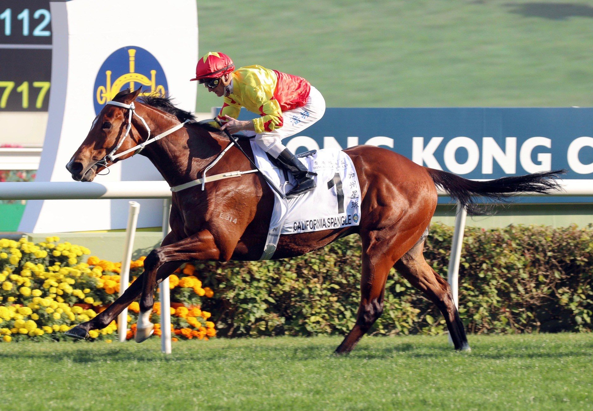 California Spangle (Starspangledbanner) Wins The Hong Kong Classic Cup at Sha Tin