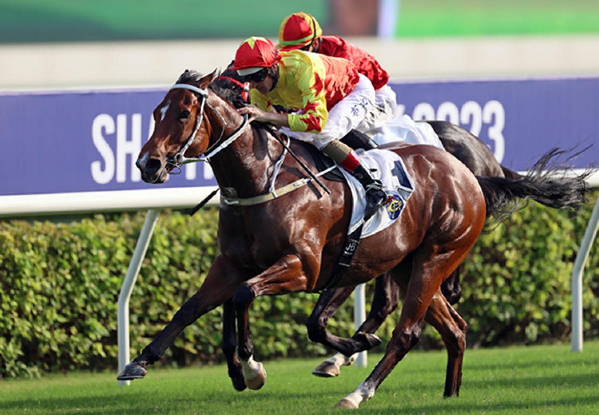 California Spangles (Starspangledbanner) winning the Gr.2 Sha Tin Trophy