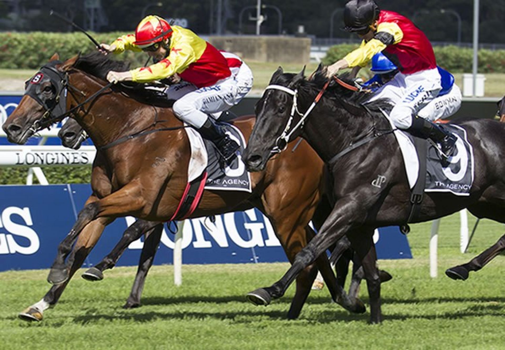 California Turbo (Fastnet Rock) winning the Listed ATC South Pacific Classic at Randwick