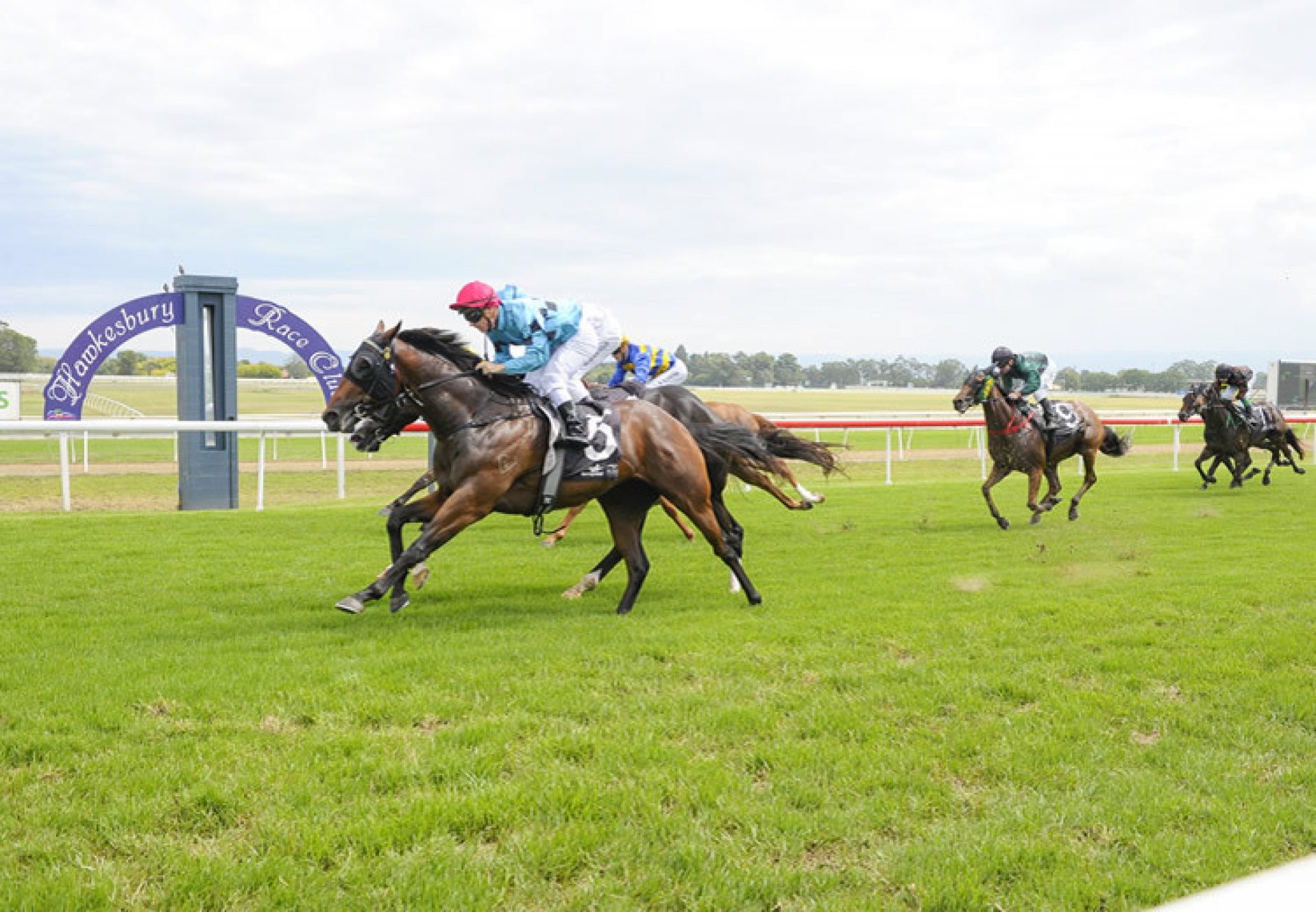 Californian (Justify) winning at Hawkesbury