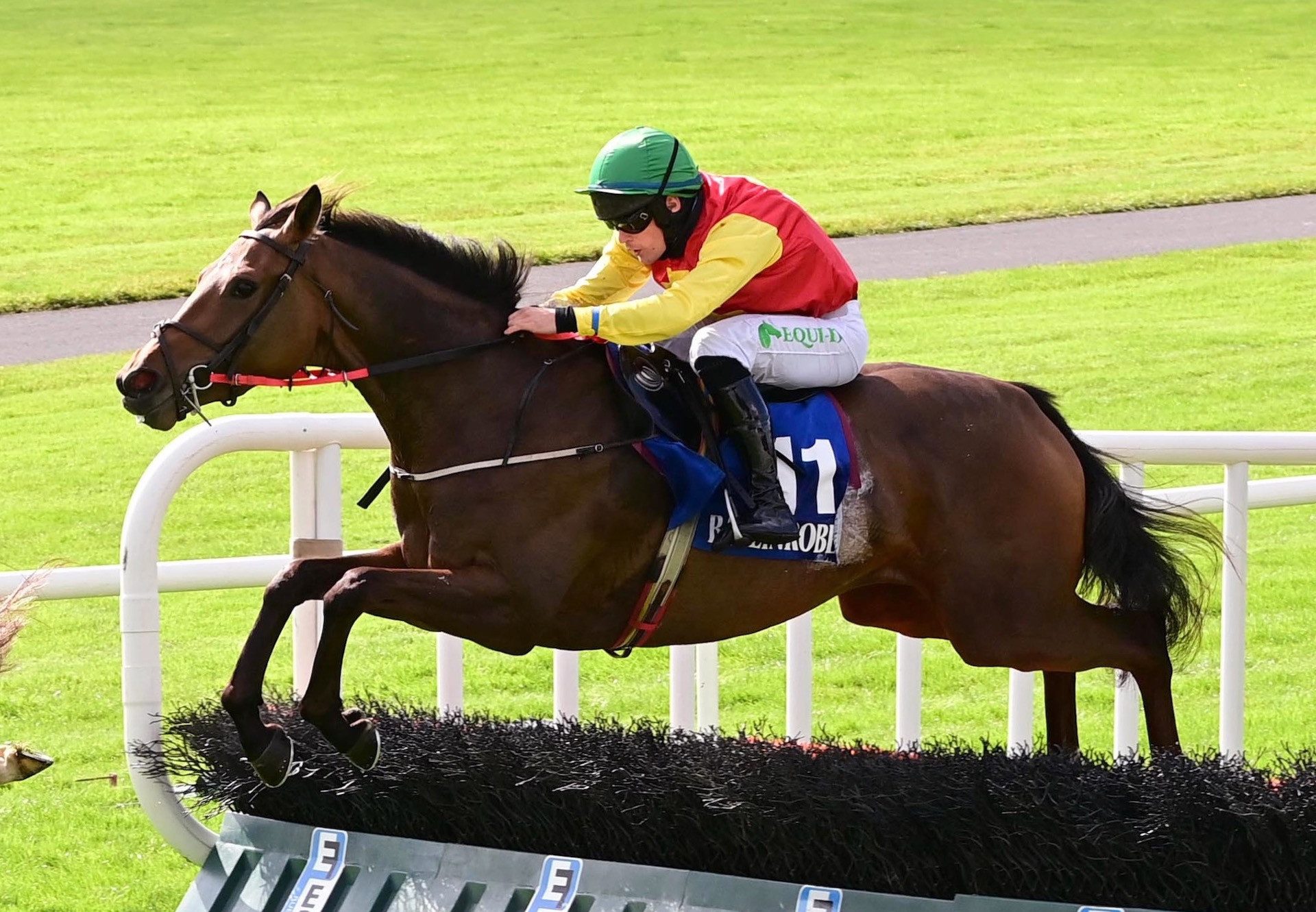 Calvados (Vadamos) Wins The 3YO Maiden Hurdle At Ballinrobe