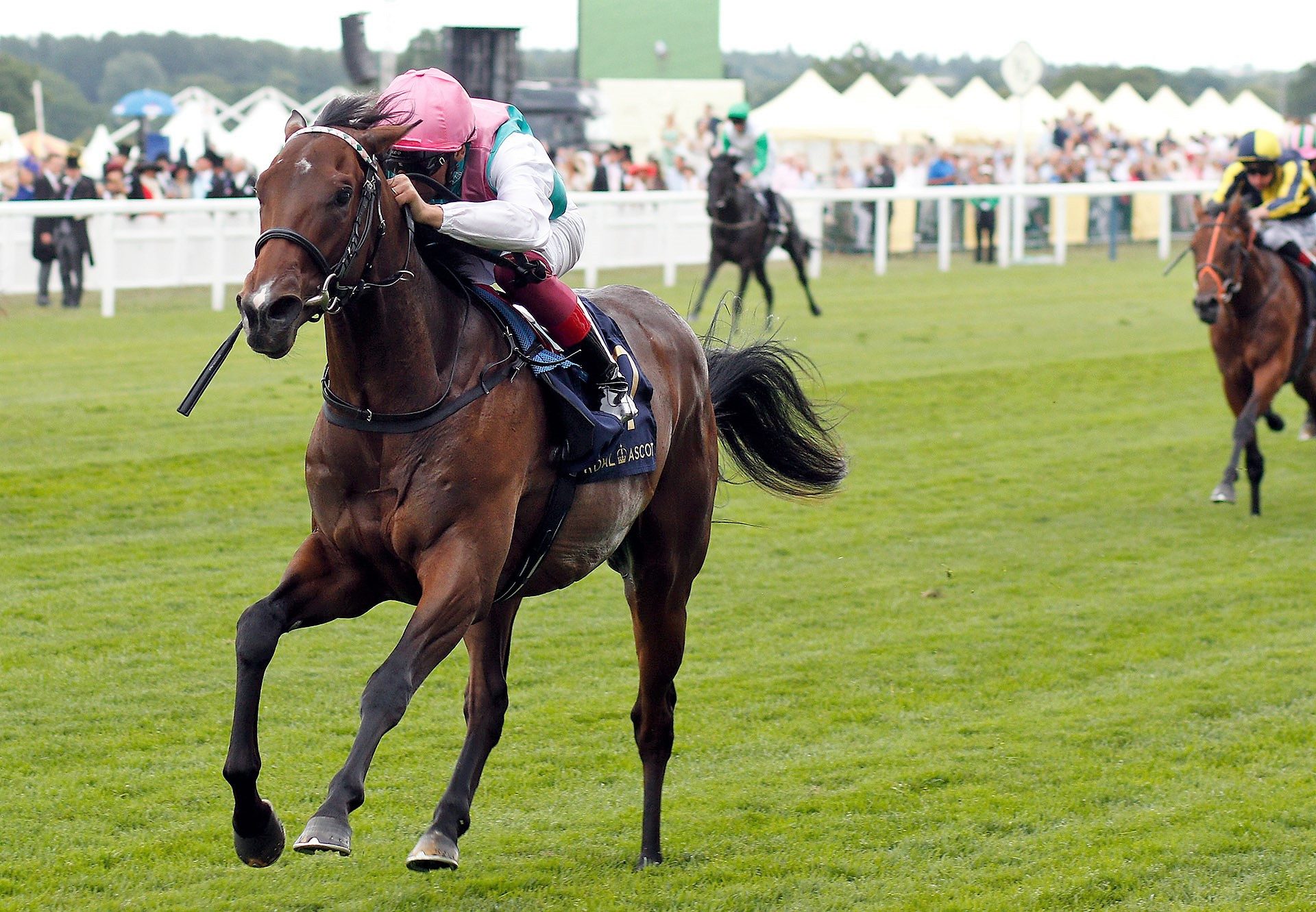 Calyx Wins The Coventry Stakes at Royal Ascot