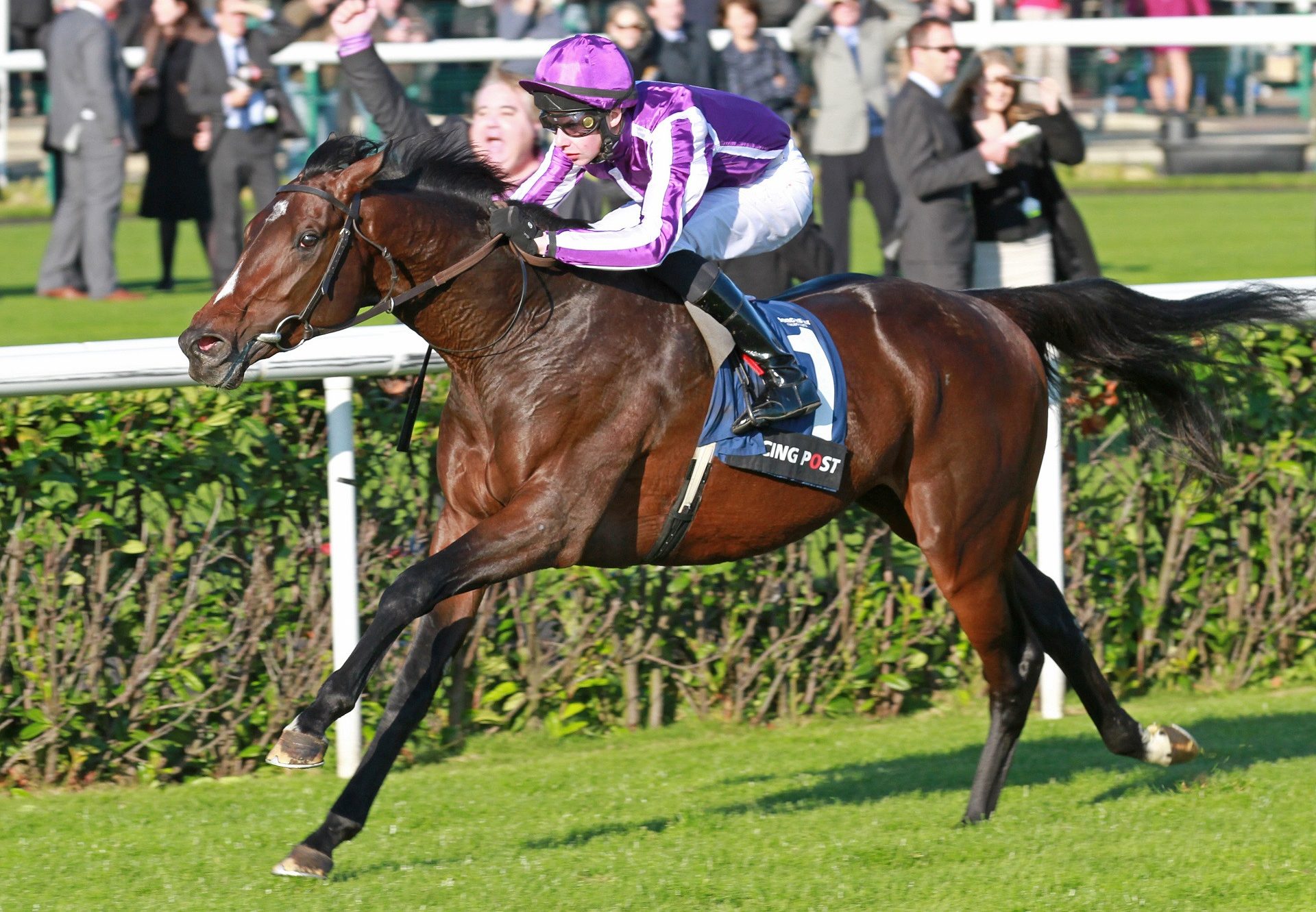 Camelot winning the G1 Racing Post Trophy