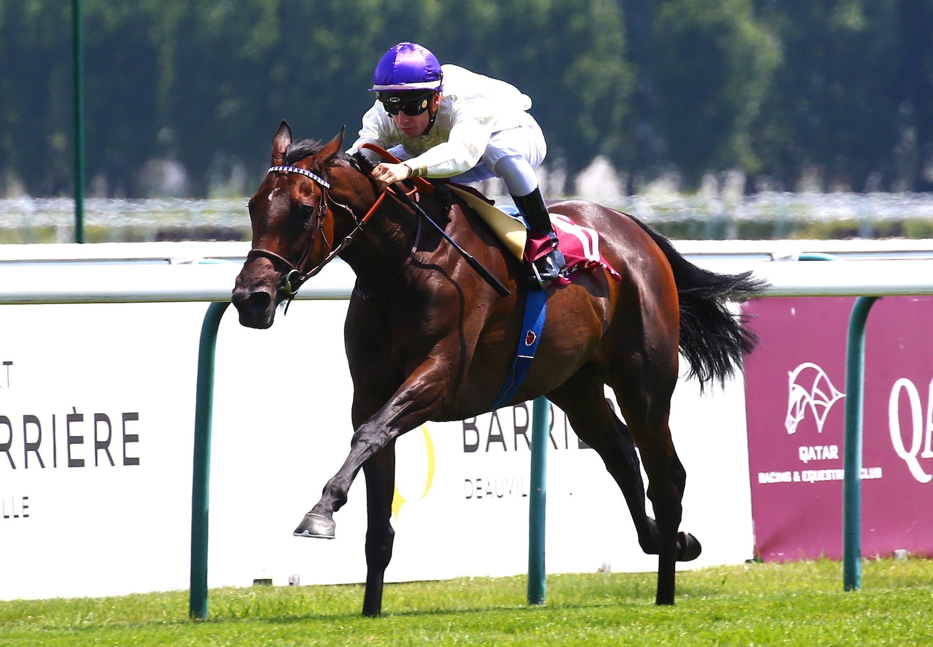 Camelot Filly Bolleville Impresses At Deauville