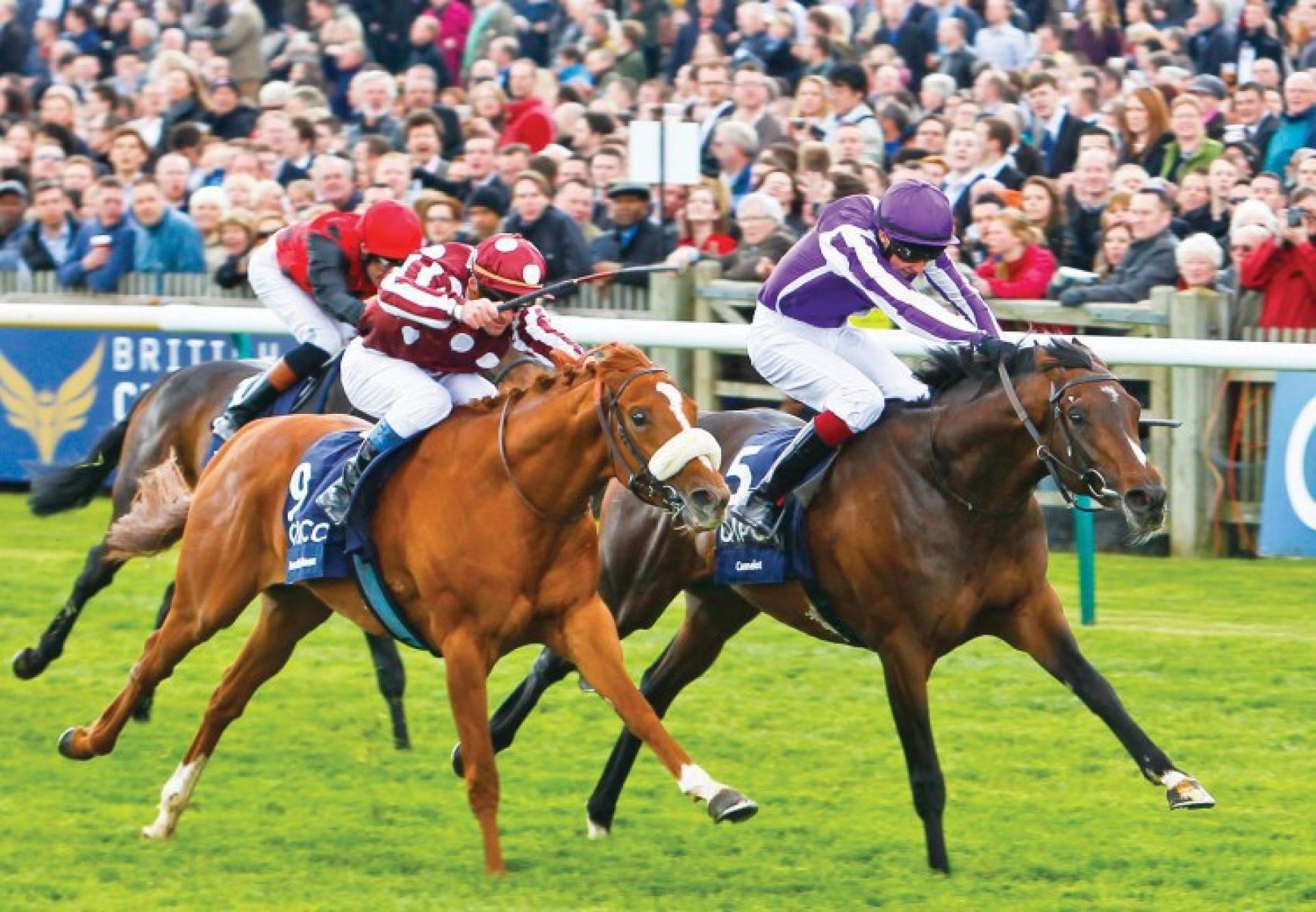 Camelot winning the G1 2,000 Guineas at Newmarket