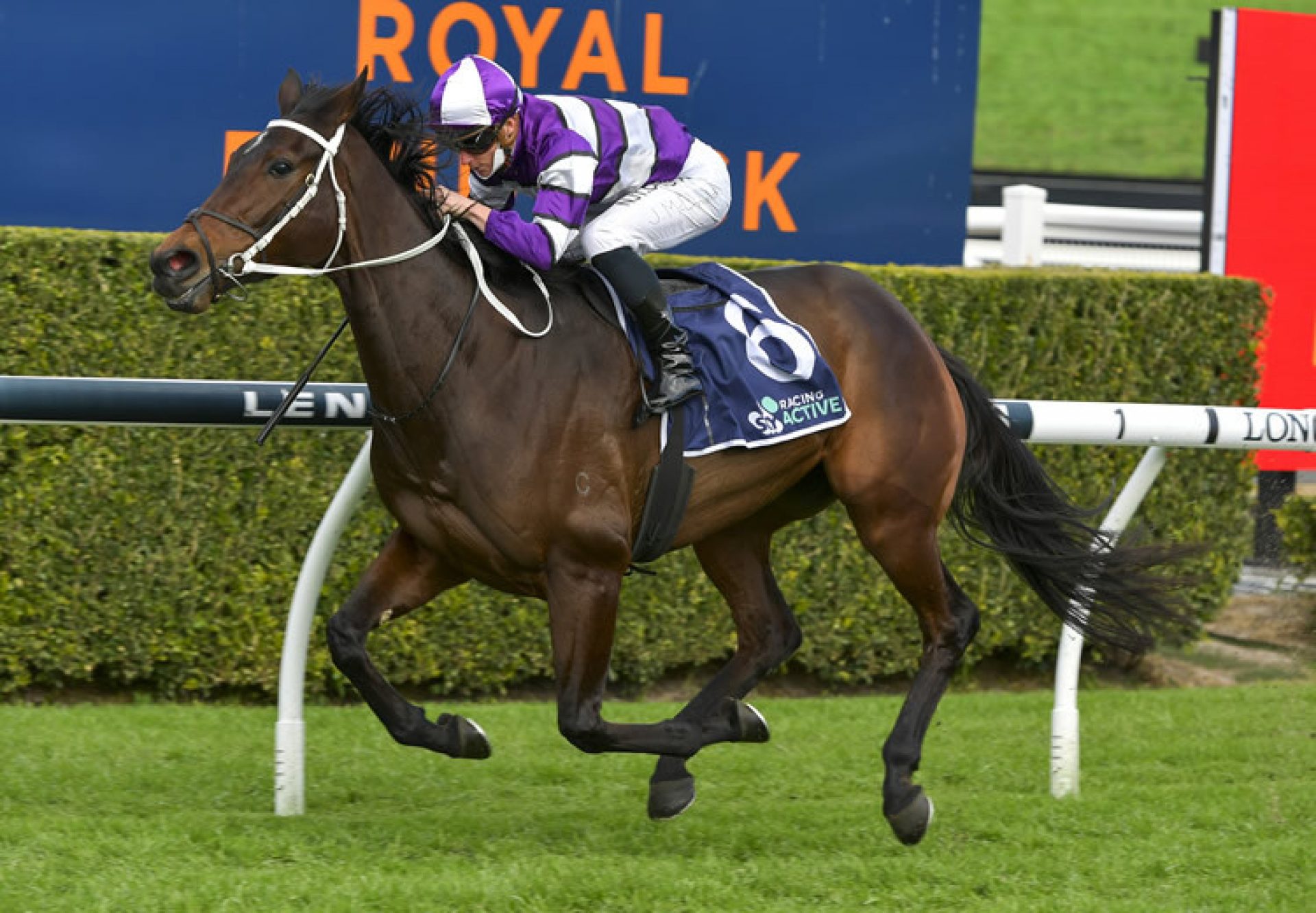Canadian Spice (Vancouver) winning at Randwick