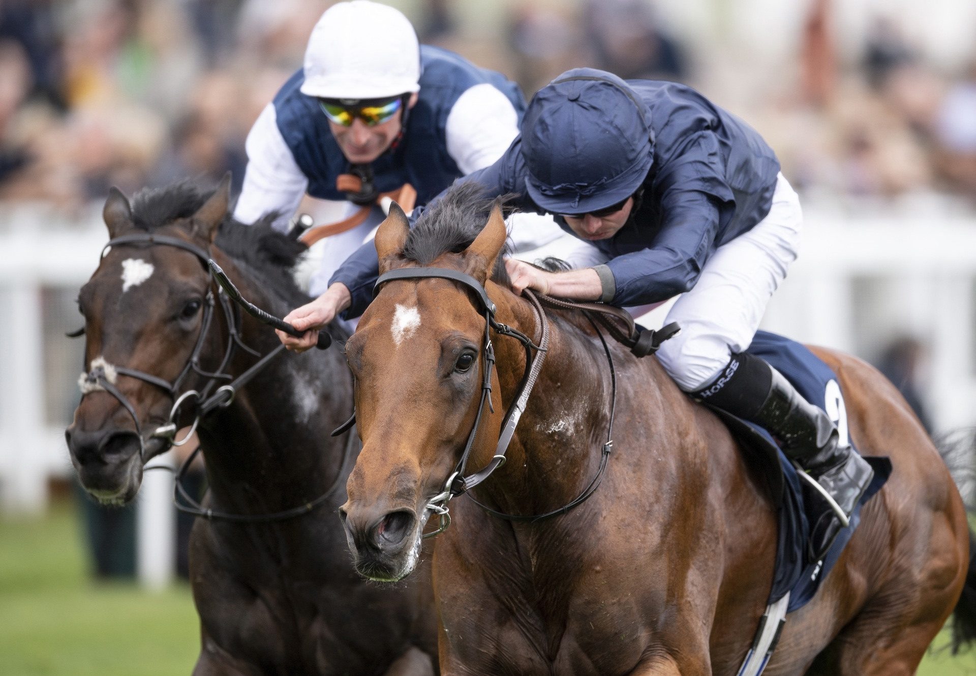 Cape Of Good Hope (Galileo) Wins Epsom Derby Trial