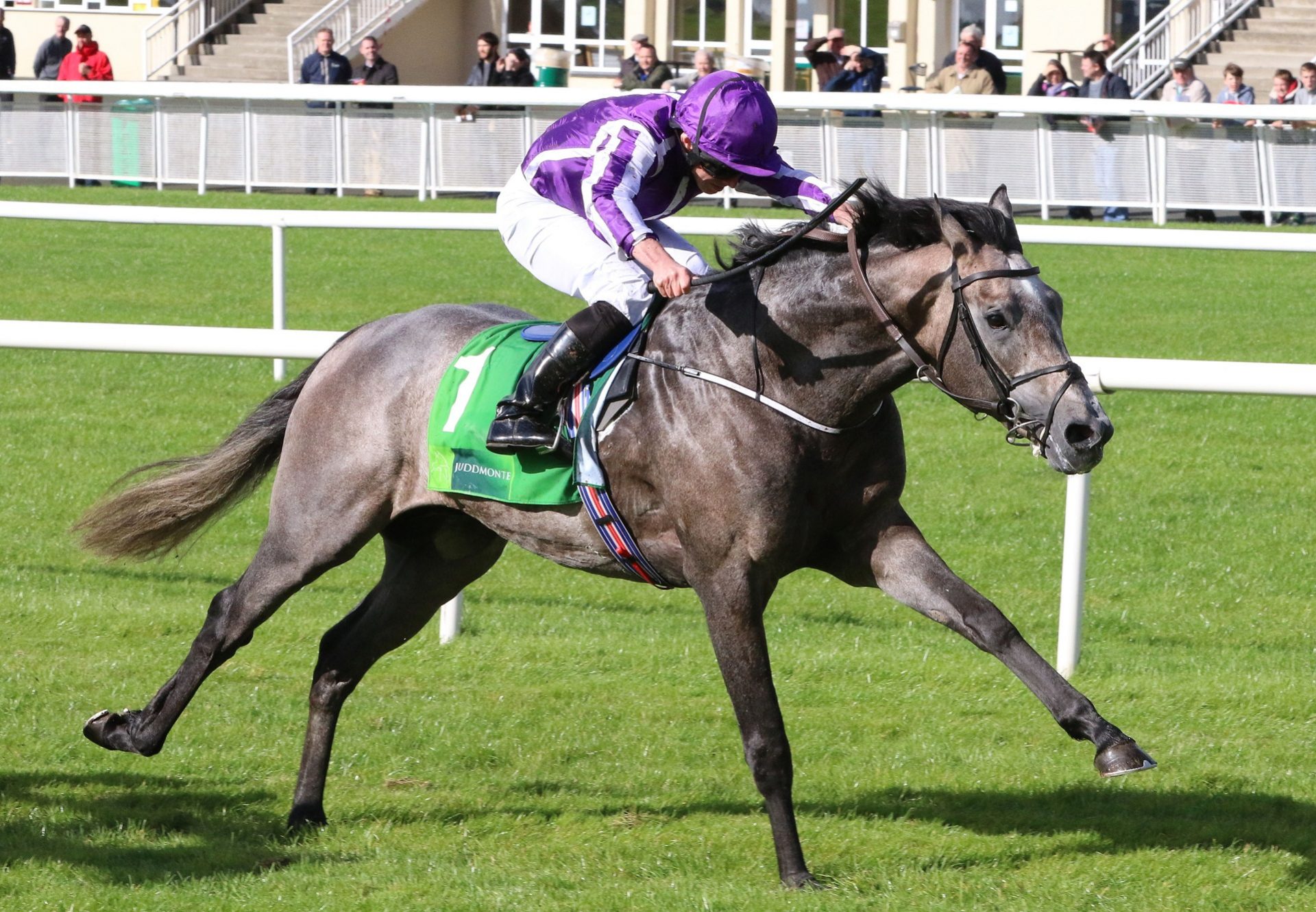 Capri Winning The Gr 2 Beresford Stakes At The Curragh