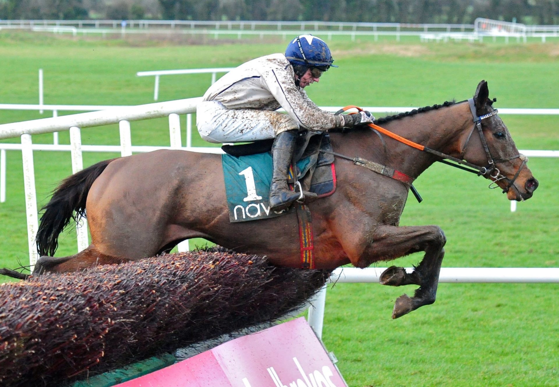 Captain Cj (Westerner) Wins The Grade 2 Novice Chase At Navan