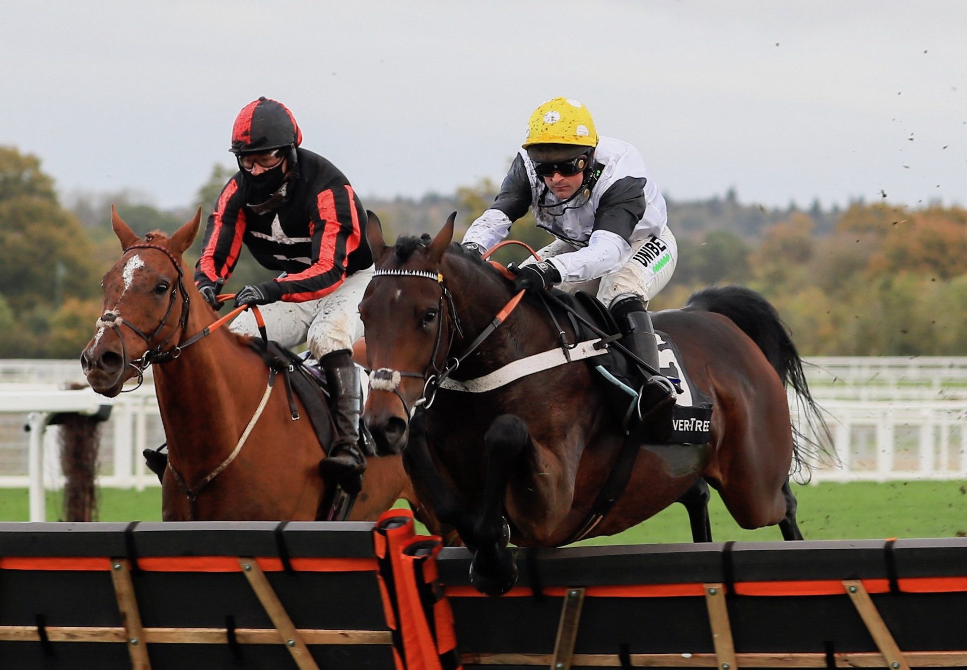 Captain Morgs (Milan) Wins the Novice Hurdle At Ascot