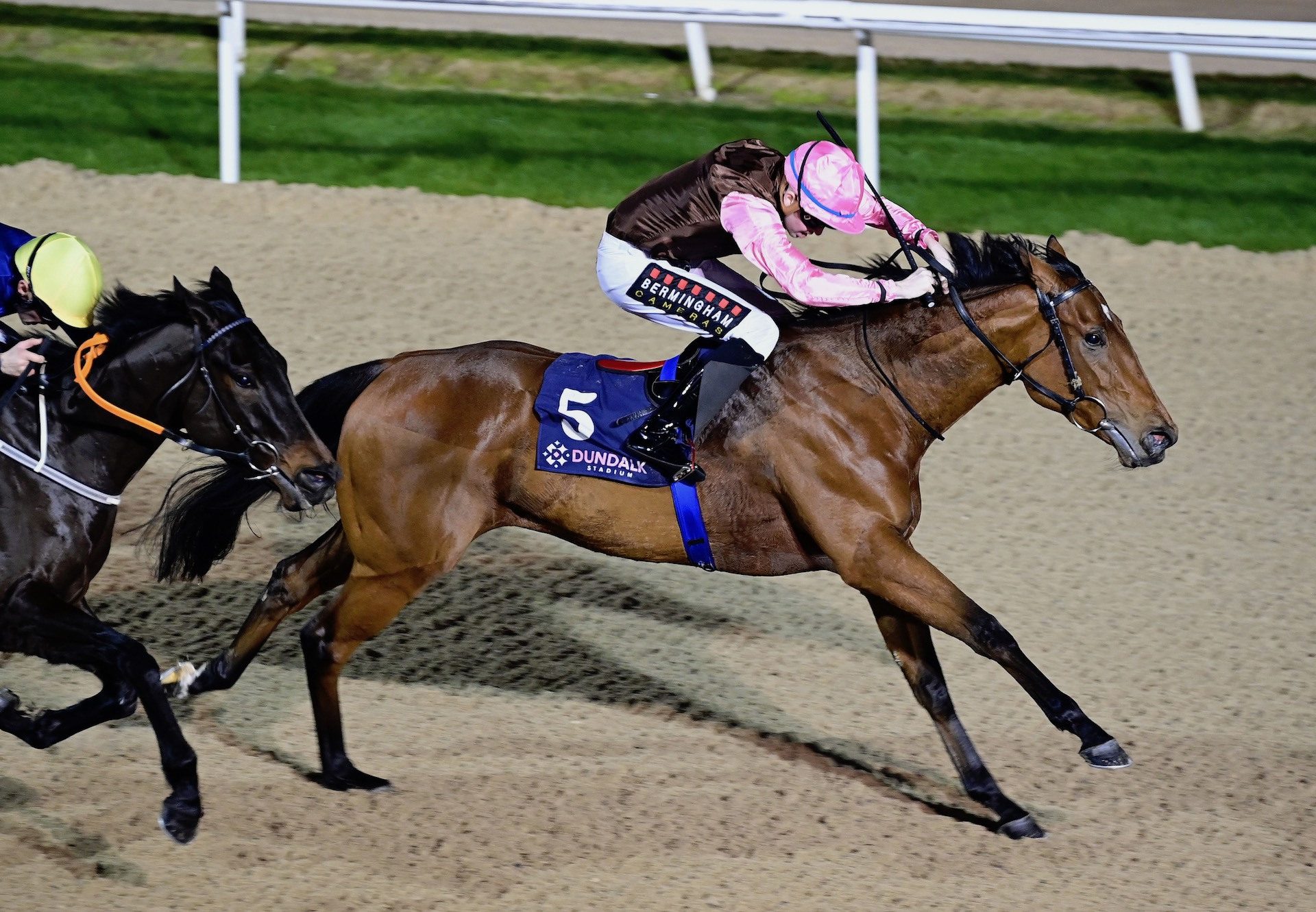 Capuchinero (Holy Roman Emperor) Wins Her Maiden At Dundalk