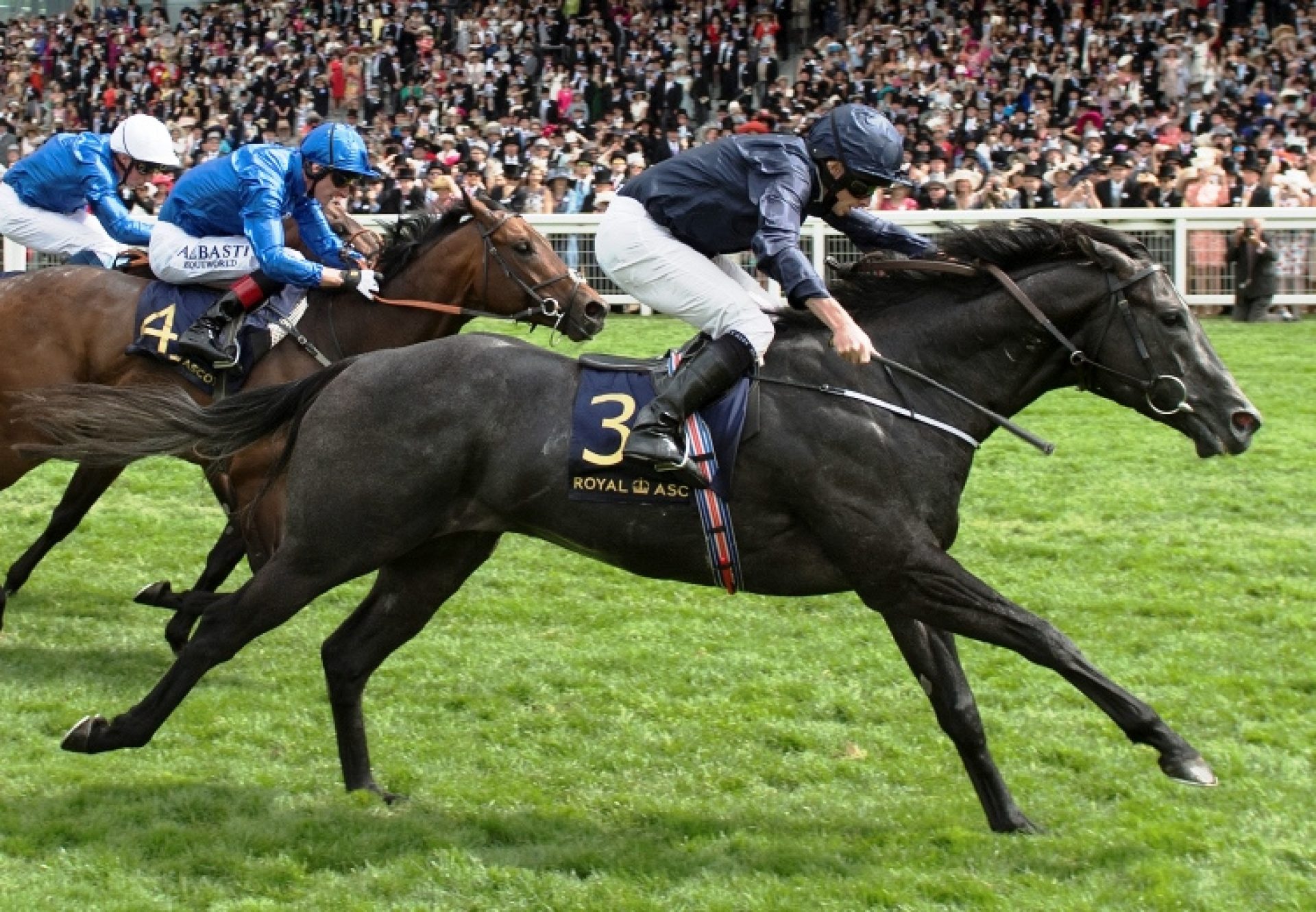Caravaggio winning the G1 Commonwealth Cup at Royal Ascot
