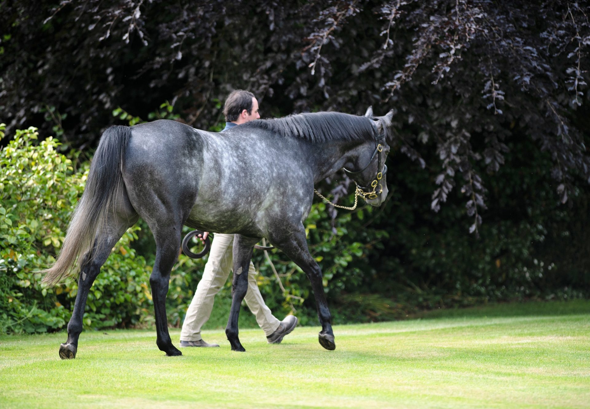 Caravaggio walking