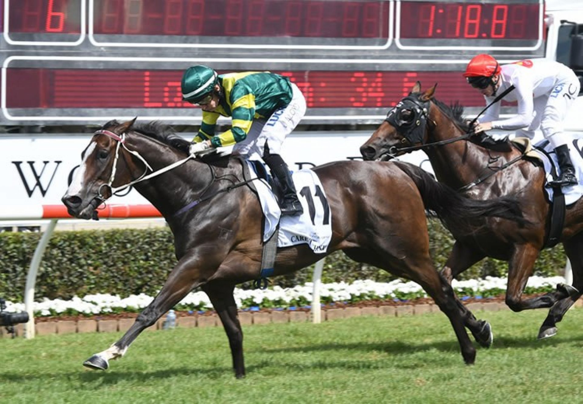 Care To Think (So You Think) winning the Woodford Reserve Magic Millions Cup at the Gold Coast