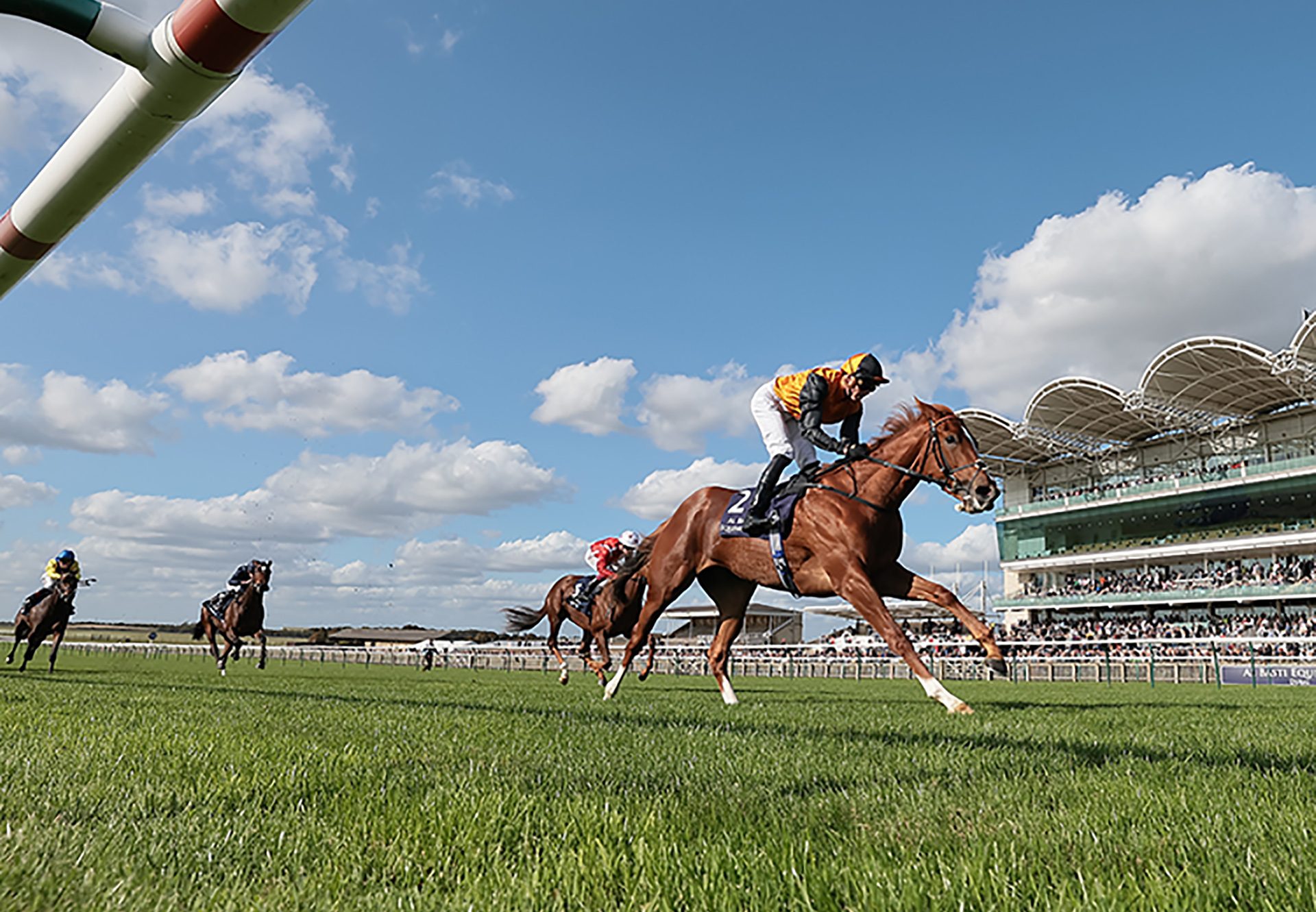 Carla's Way (Starspangledbanner) wins the Gr.2 Rockfel Stakes at Newmarket