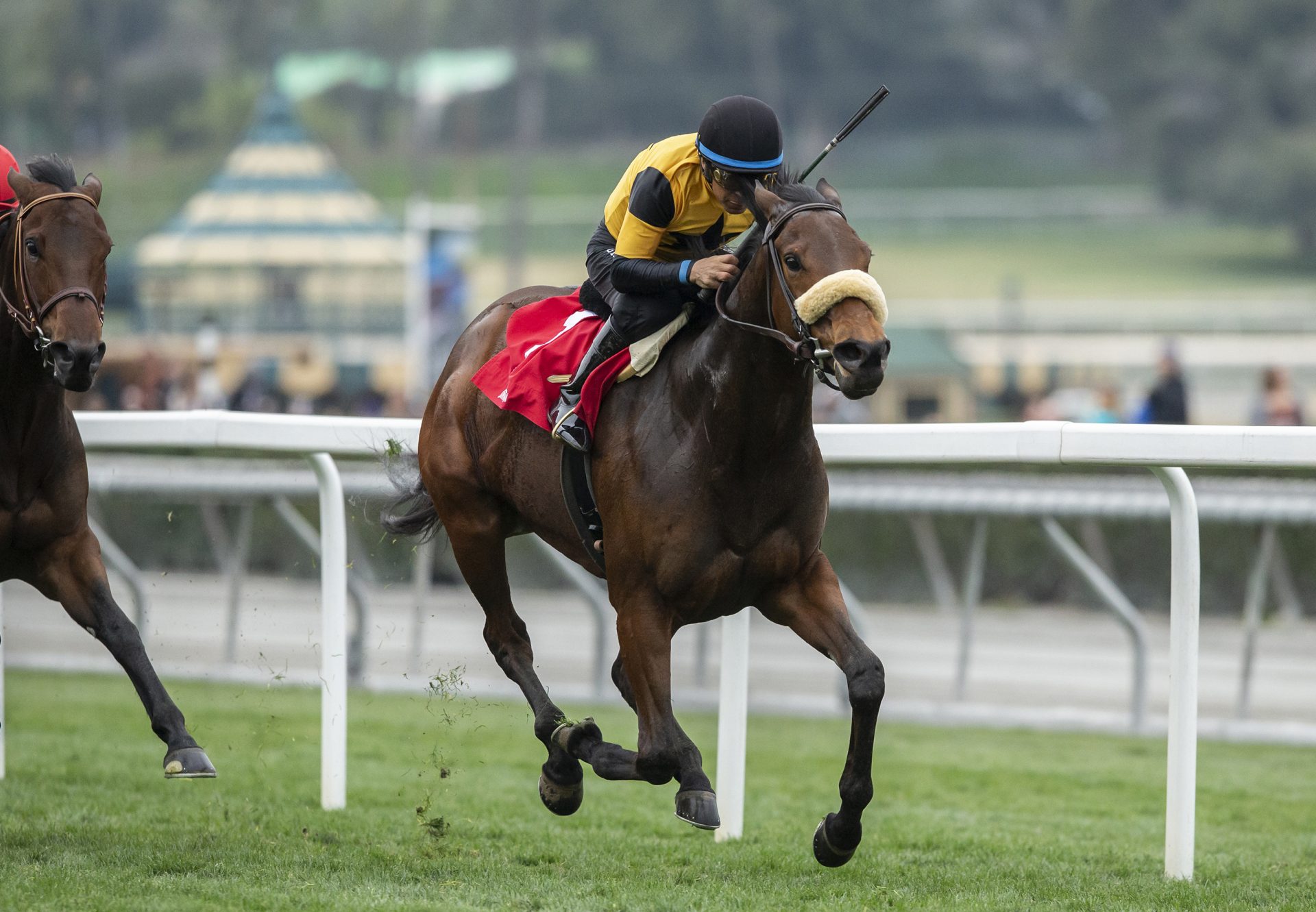 Carressa (Uncle Mo) Wins Gr.3 Megahertz at Santa Anita