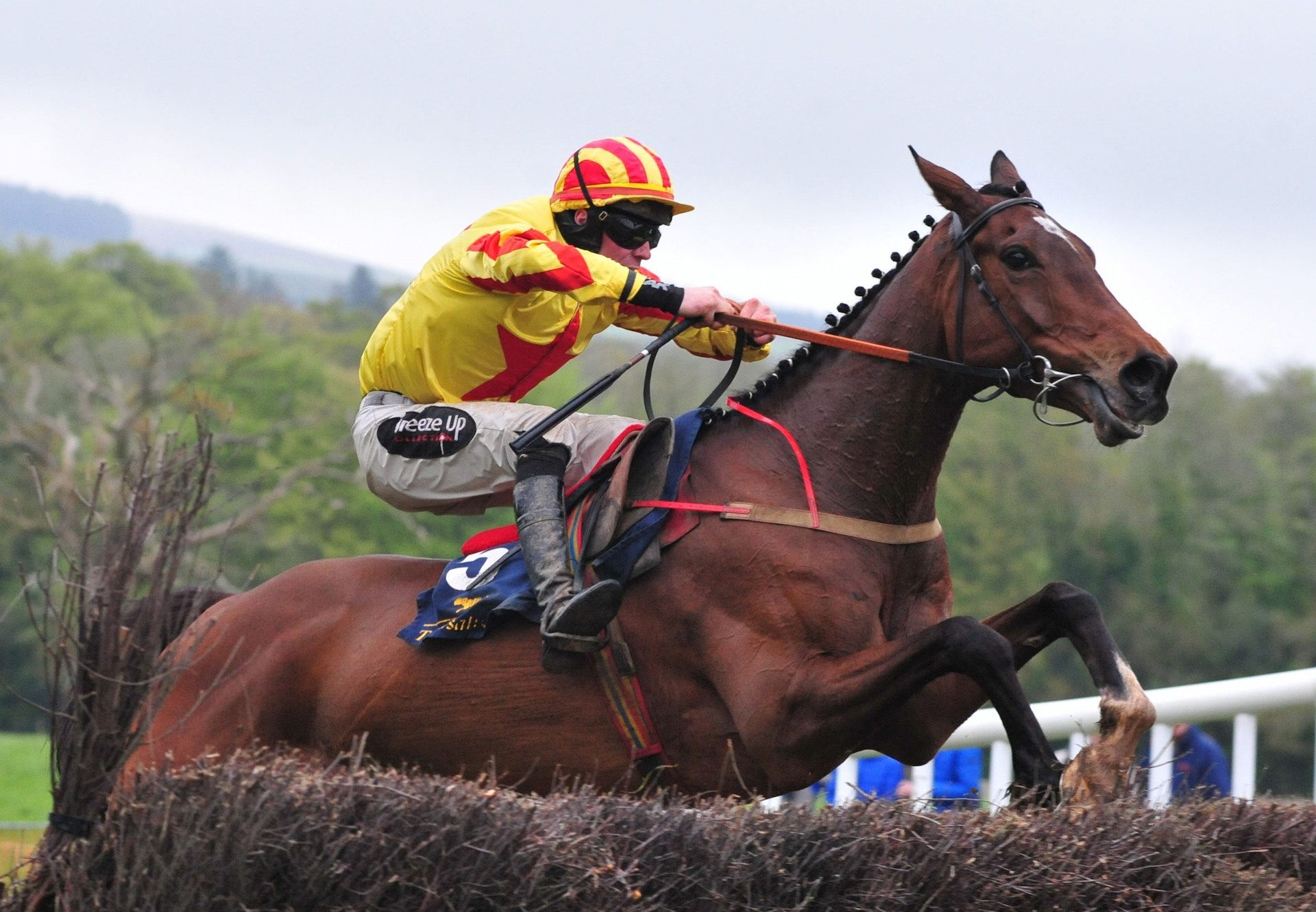 Carrig Hill (Milan) Wins At Monksgrange