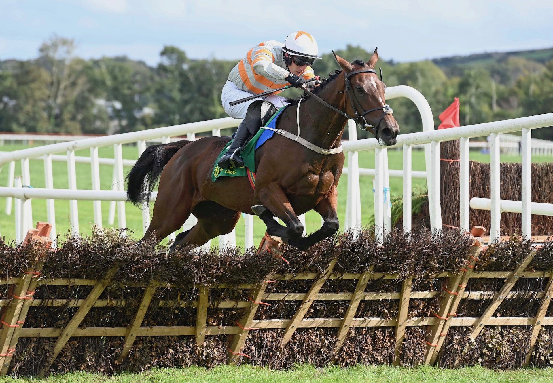 Carrigmoorna Queen (Walk In The Park) Wins The Mares Maiden Hurdle At Listowel