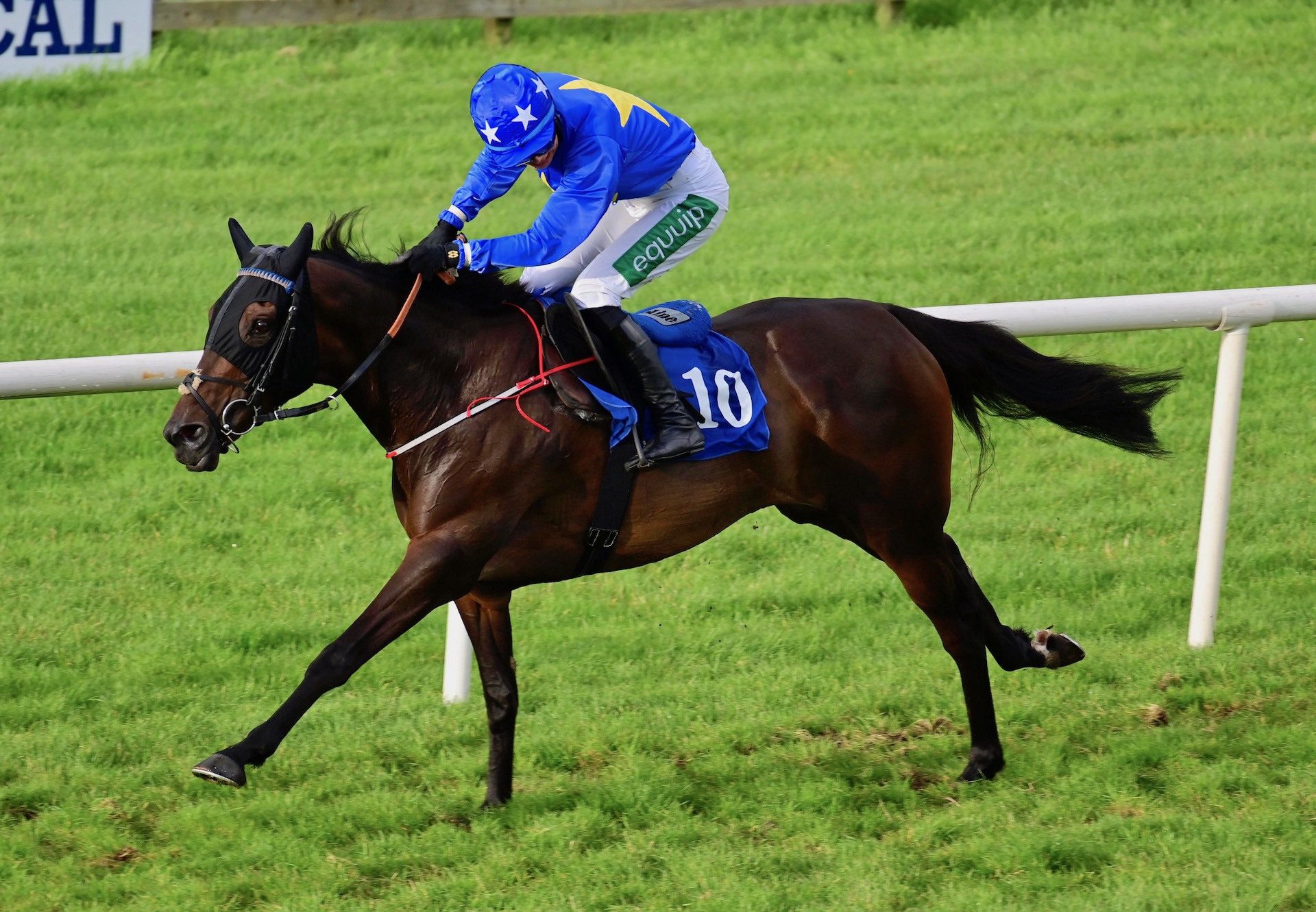 Cash The Cheque (Soldier Of Fortune) Wins The Mares Bumper At Sligo