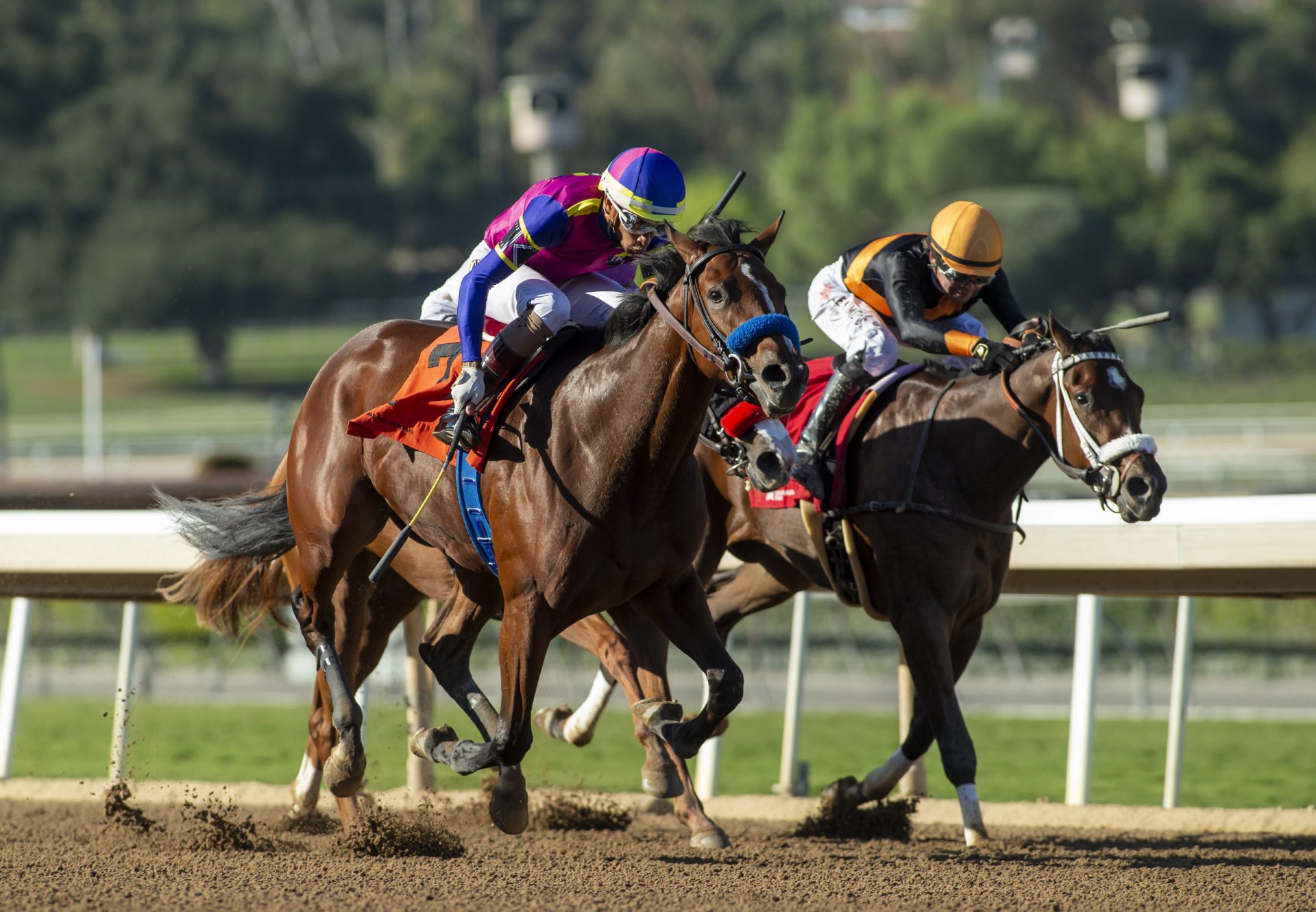 Cast Member (Munnings) Wins the Golden State Juvenile Fillies at Santa Anita