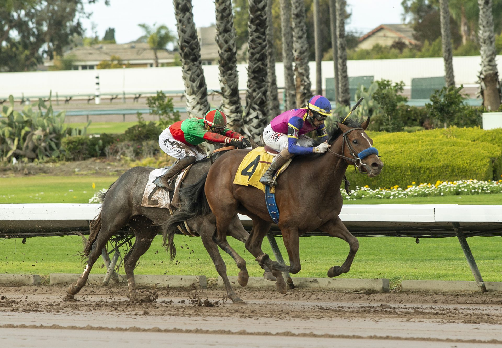 Cast Member (Munnings) Wins Soviet Problem Stakes at Los Alamitos