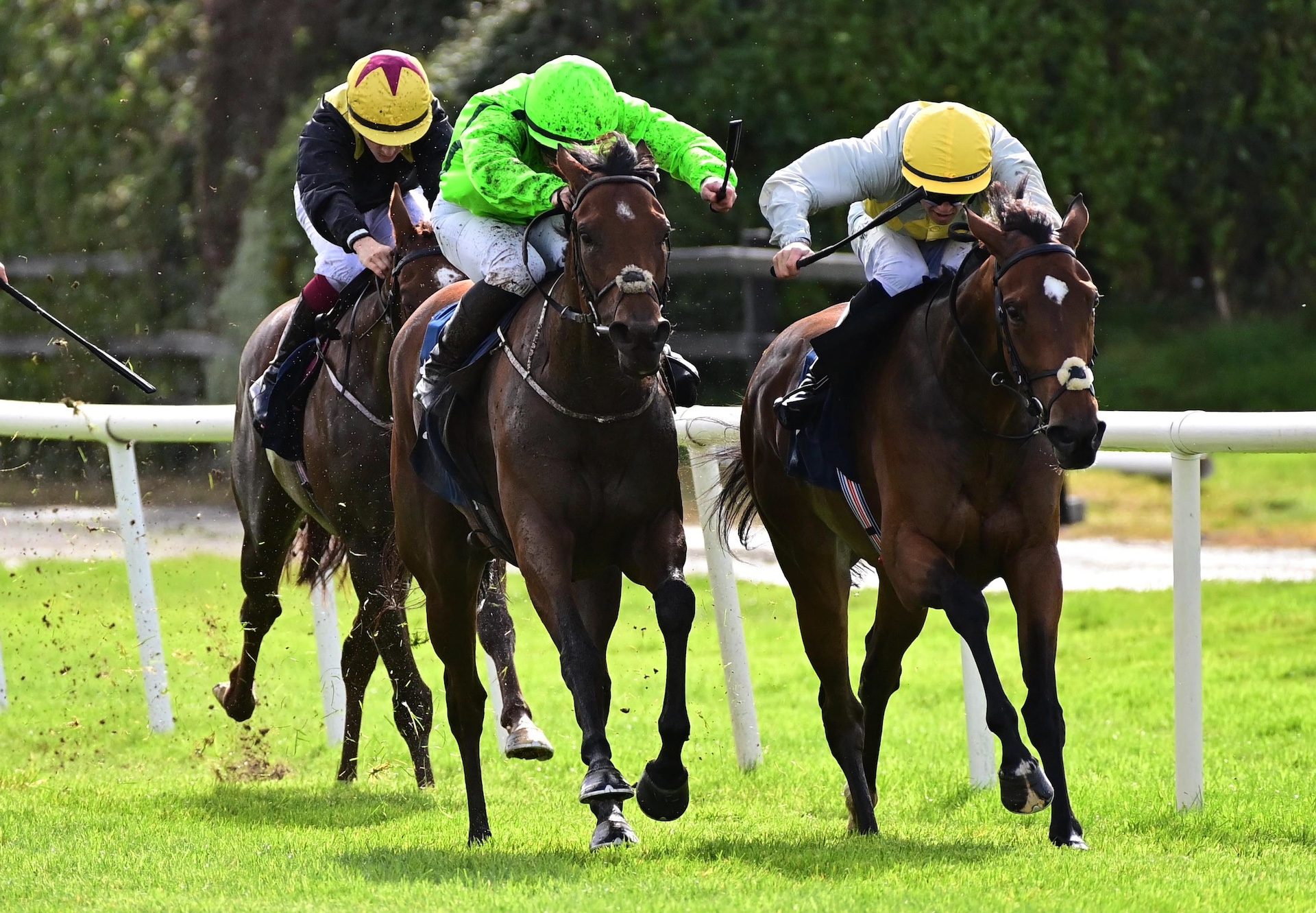 Castanets (Gleneagles) Wins Her Maiden At Killarney