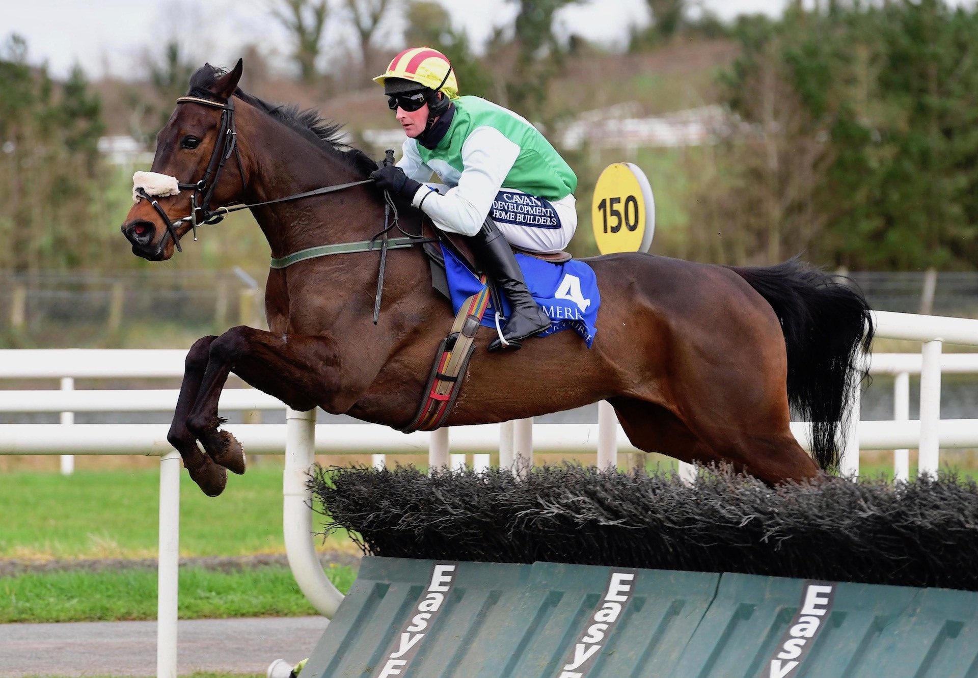 Castle Town House (Getaway) Wins The Maiden Hurdle At Limerick