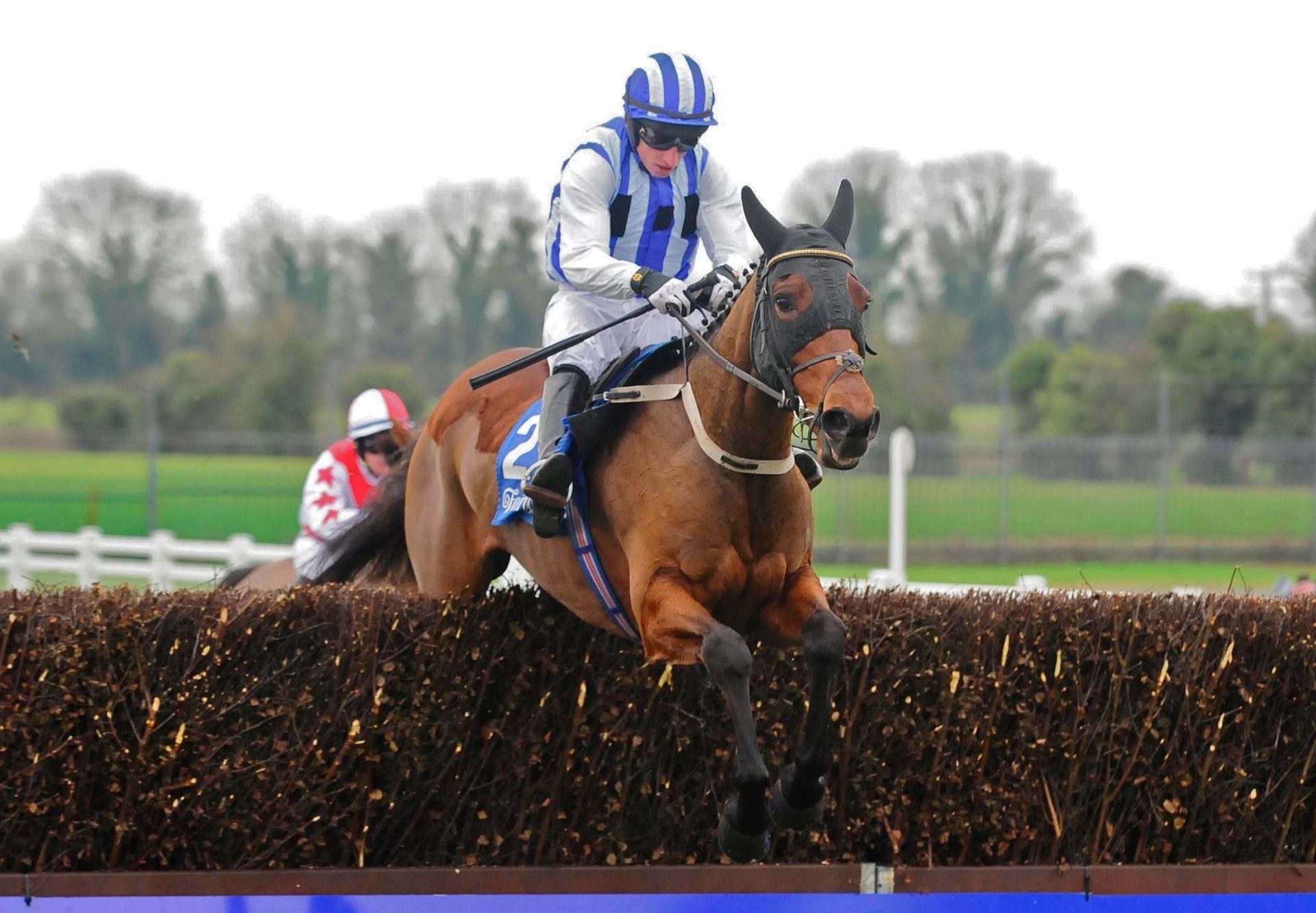 Castlebawn West (Westerner) Wins Over Fences At Fairyhouse