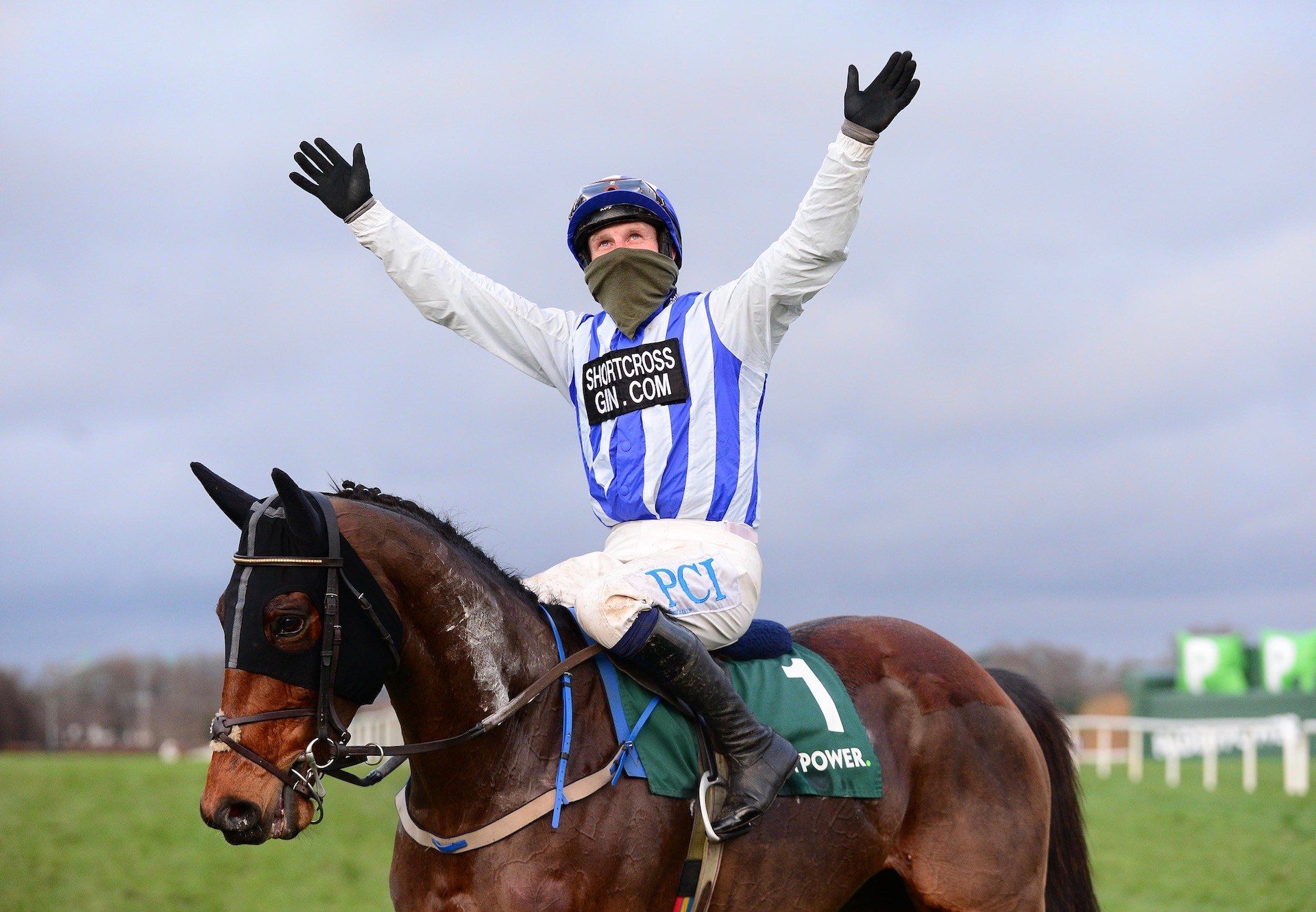 Castlebawn West (Westerner) Wins The Paddy Power Chase At Leopardstown