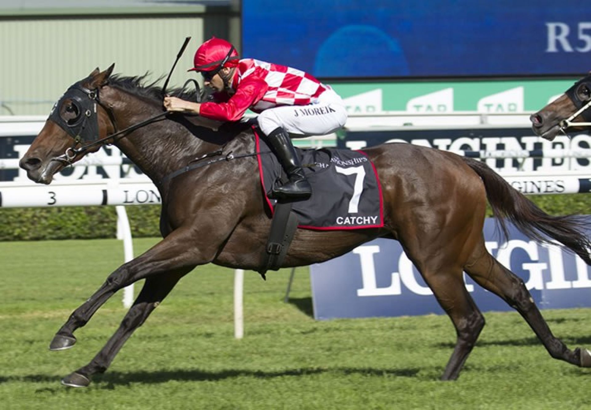 Catchy (Fastnet Rock) winning the G2 Arrowfield Sprint at Randwick