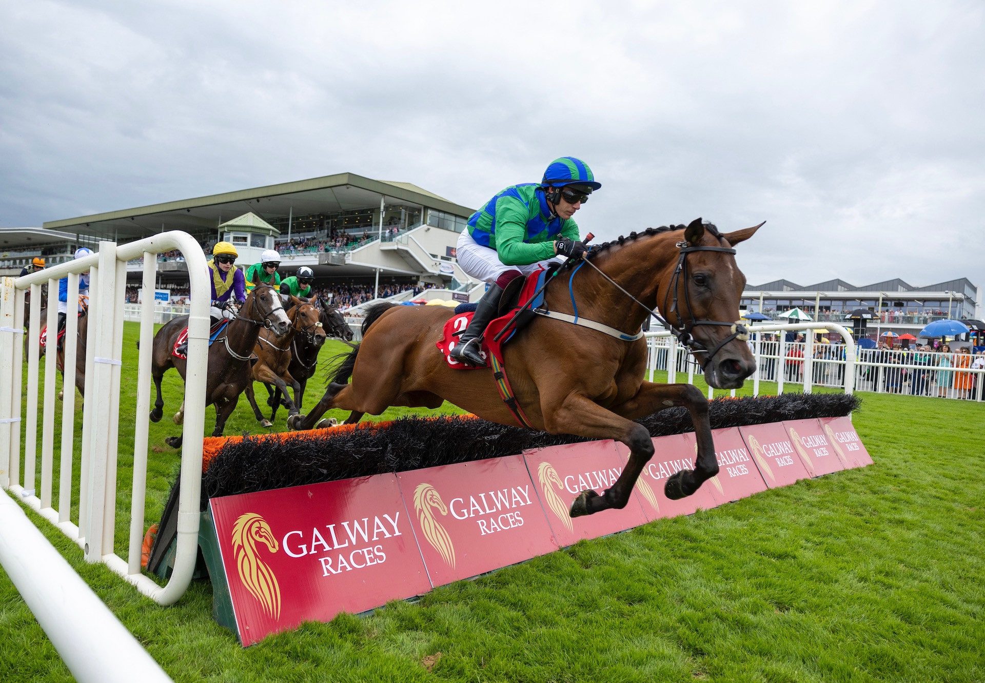 Champ Kiely (Ocovango) Impresses On Hurdle Debut At Galway