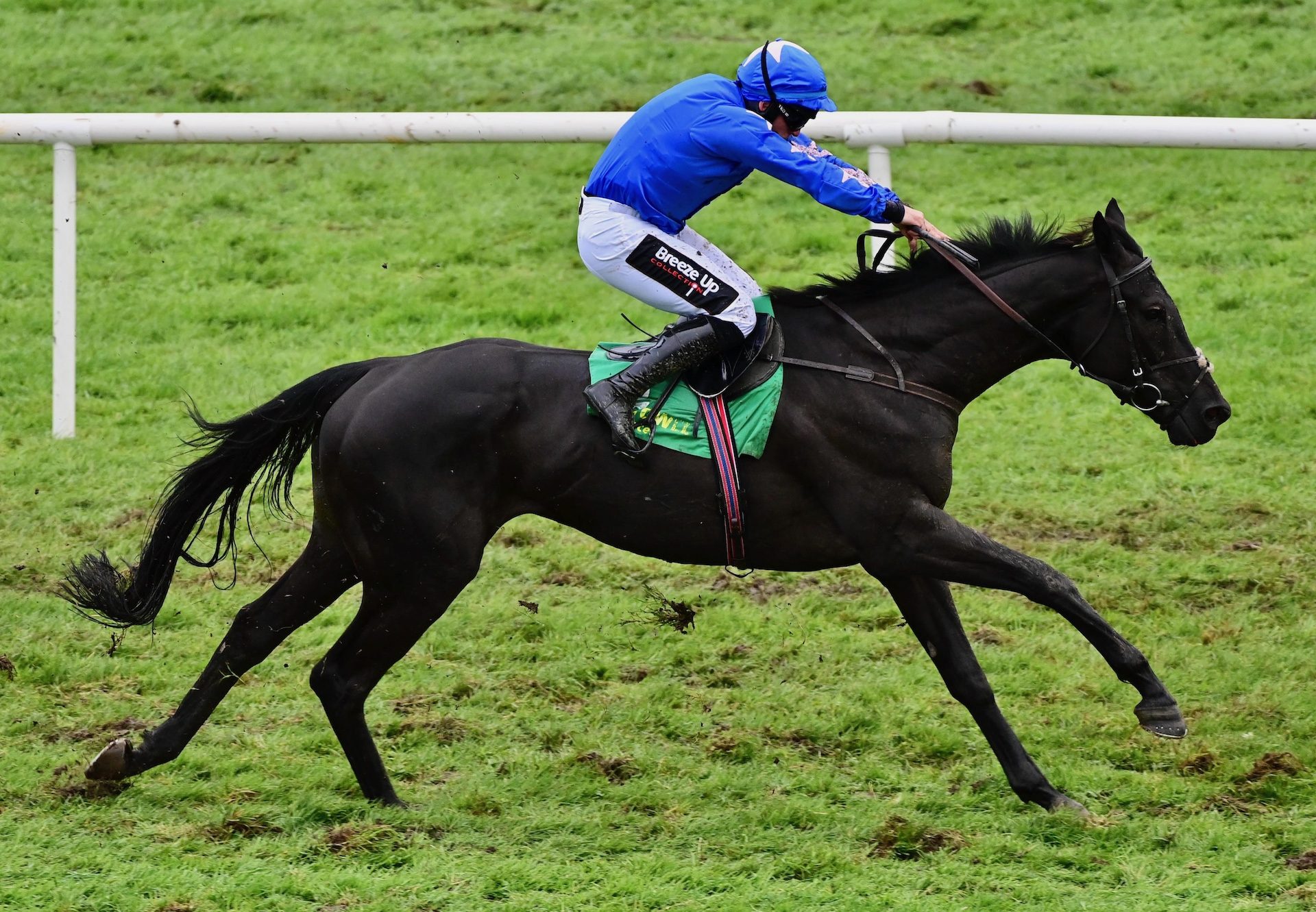 Champagne Kid (Vadamos) Wins The Bumper At Listowel