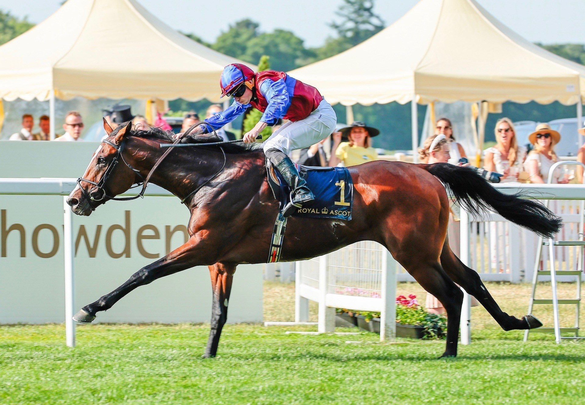 Changingoftheguard (Galileo) Wins The Group 2 King Edward VII Stakes At Royal Ascot