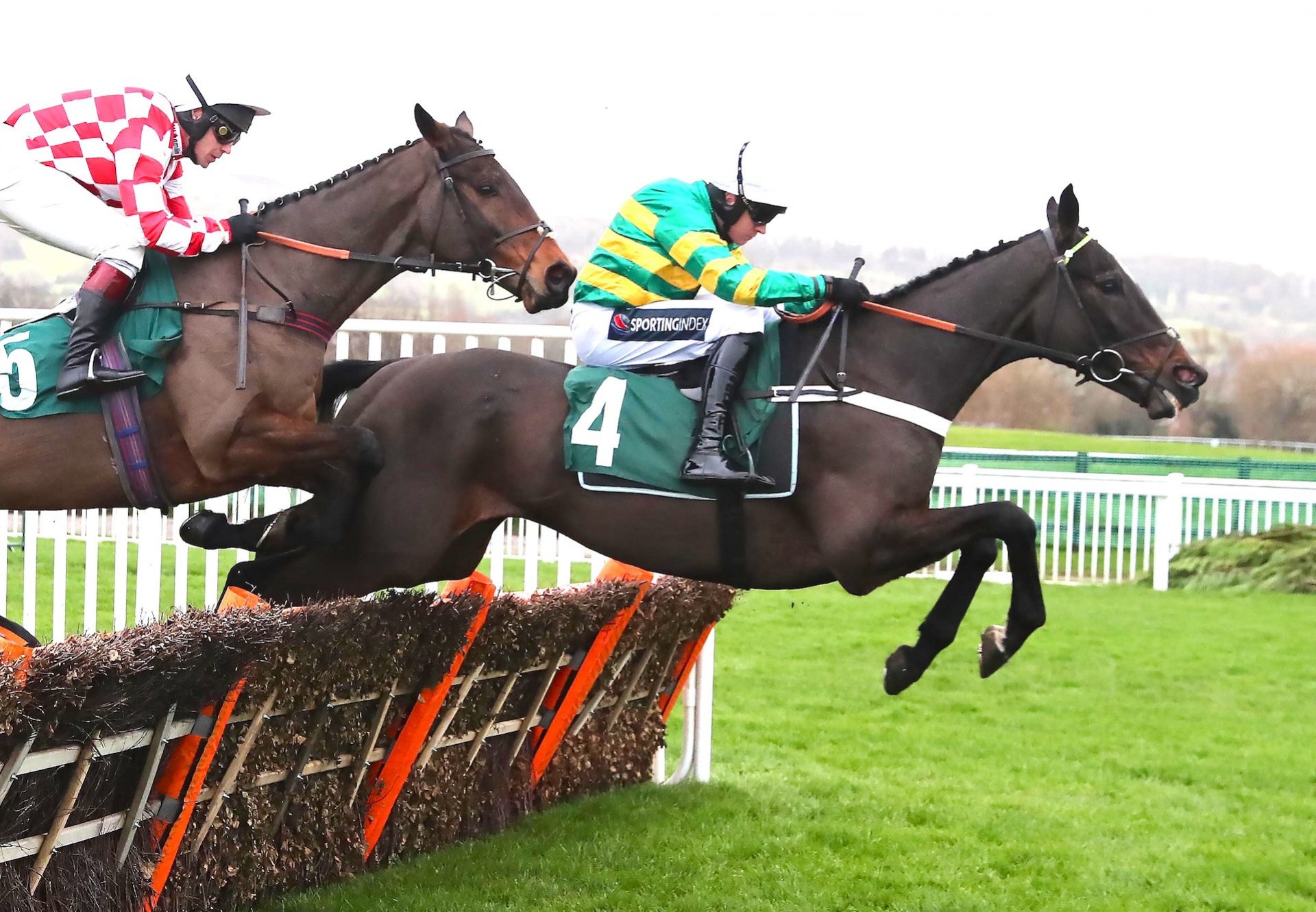 Chantry House (Yeats) Wins His Hurdle Debut At Cheltenham