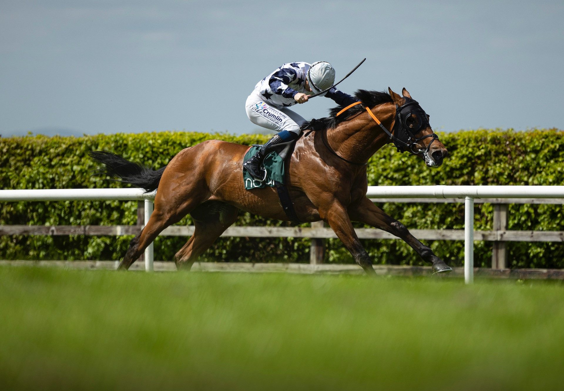 Charlemont (Starspangledbanner) Wins On Debut at Navan