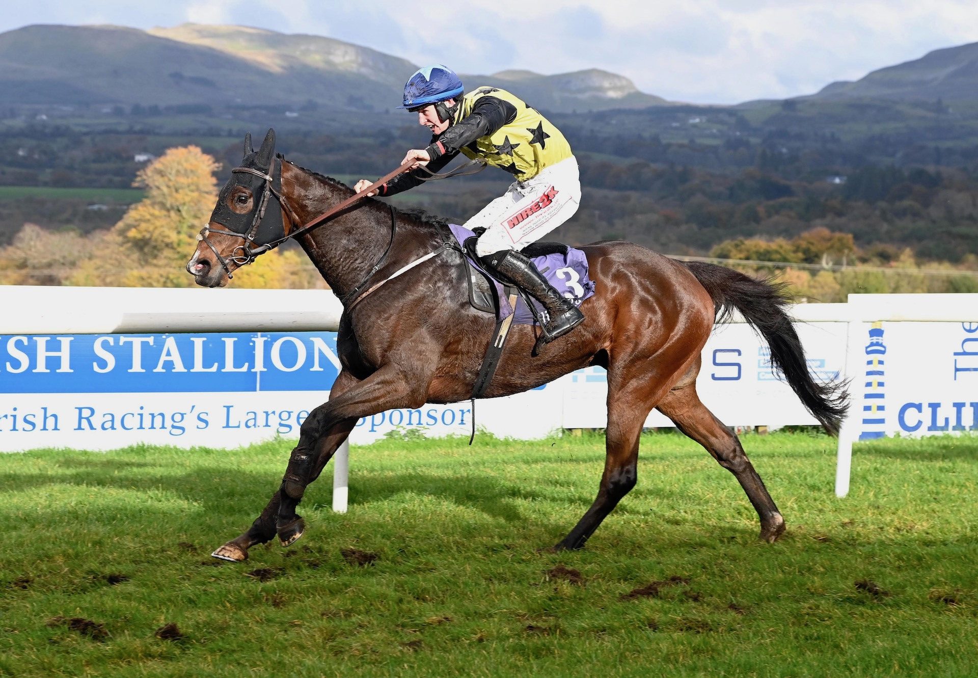 Charming Fortune (Soldier Of Fortune) Wins Maiden Hurdle At Sligo