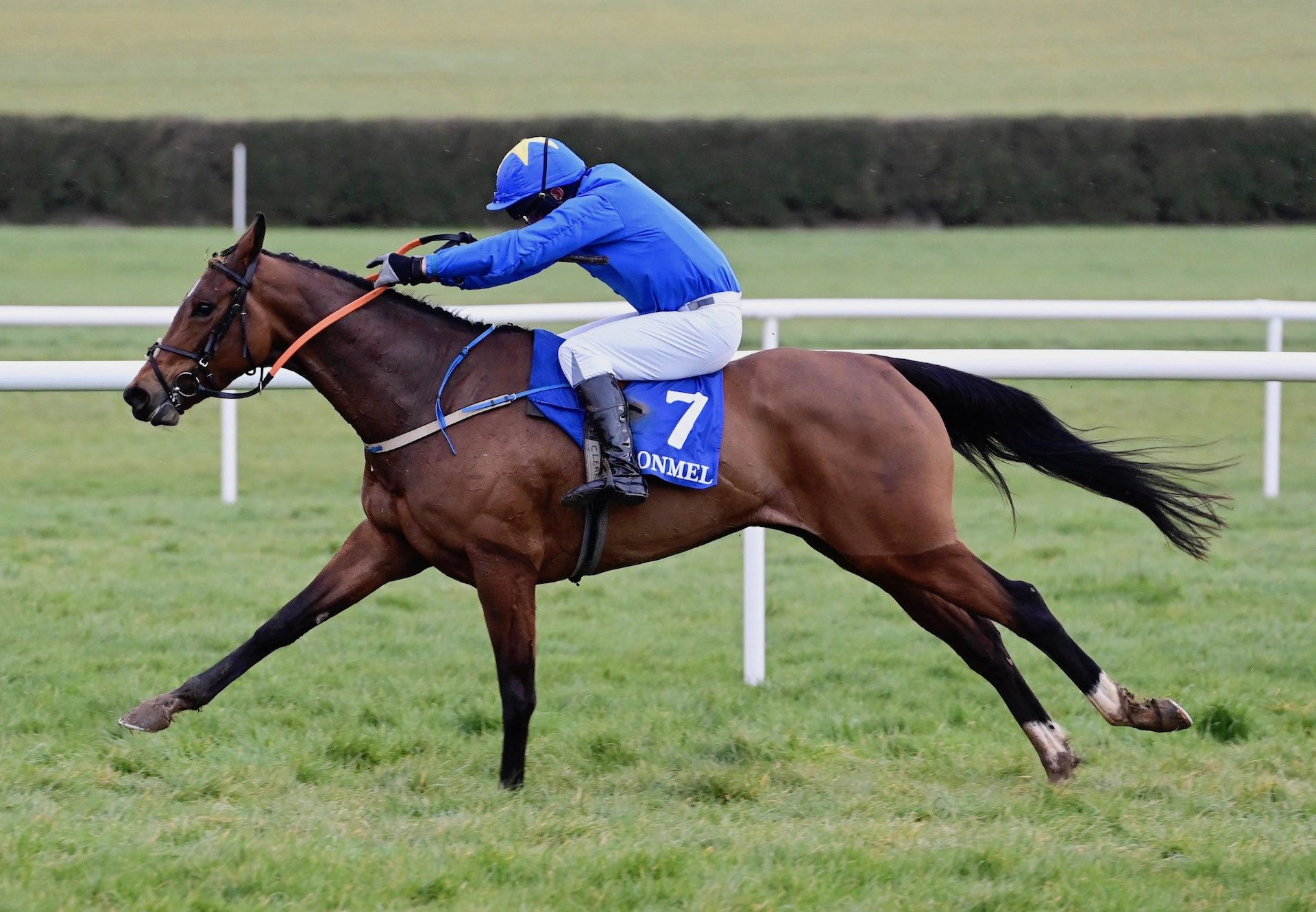 Chautuaqua (Westerner) Makes An Impressive Debut At Clonmel