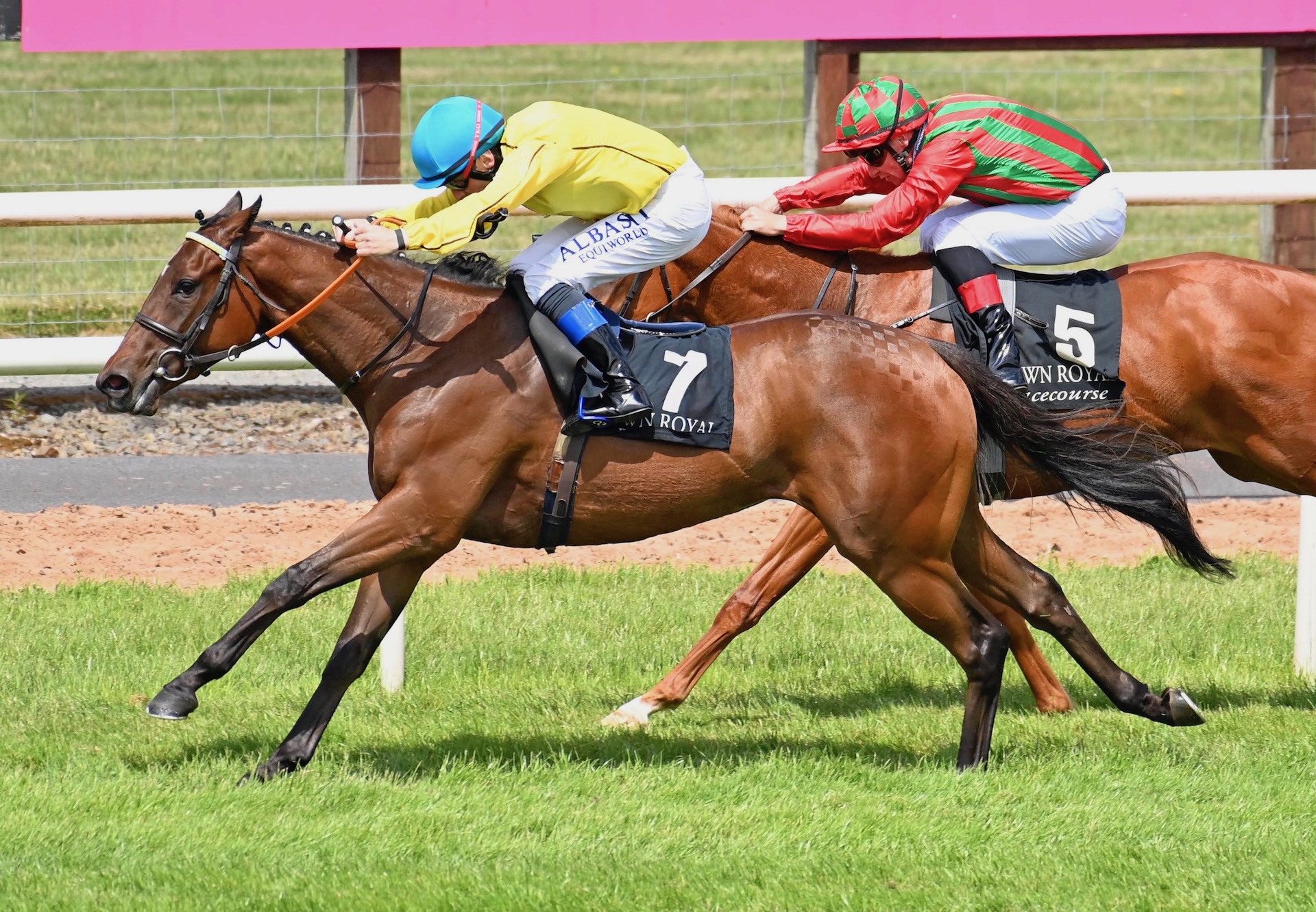 Cherry Bloom (Holy Roman Emperor) Wins Her Maiden At Down Royal