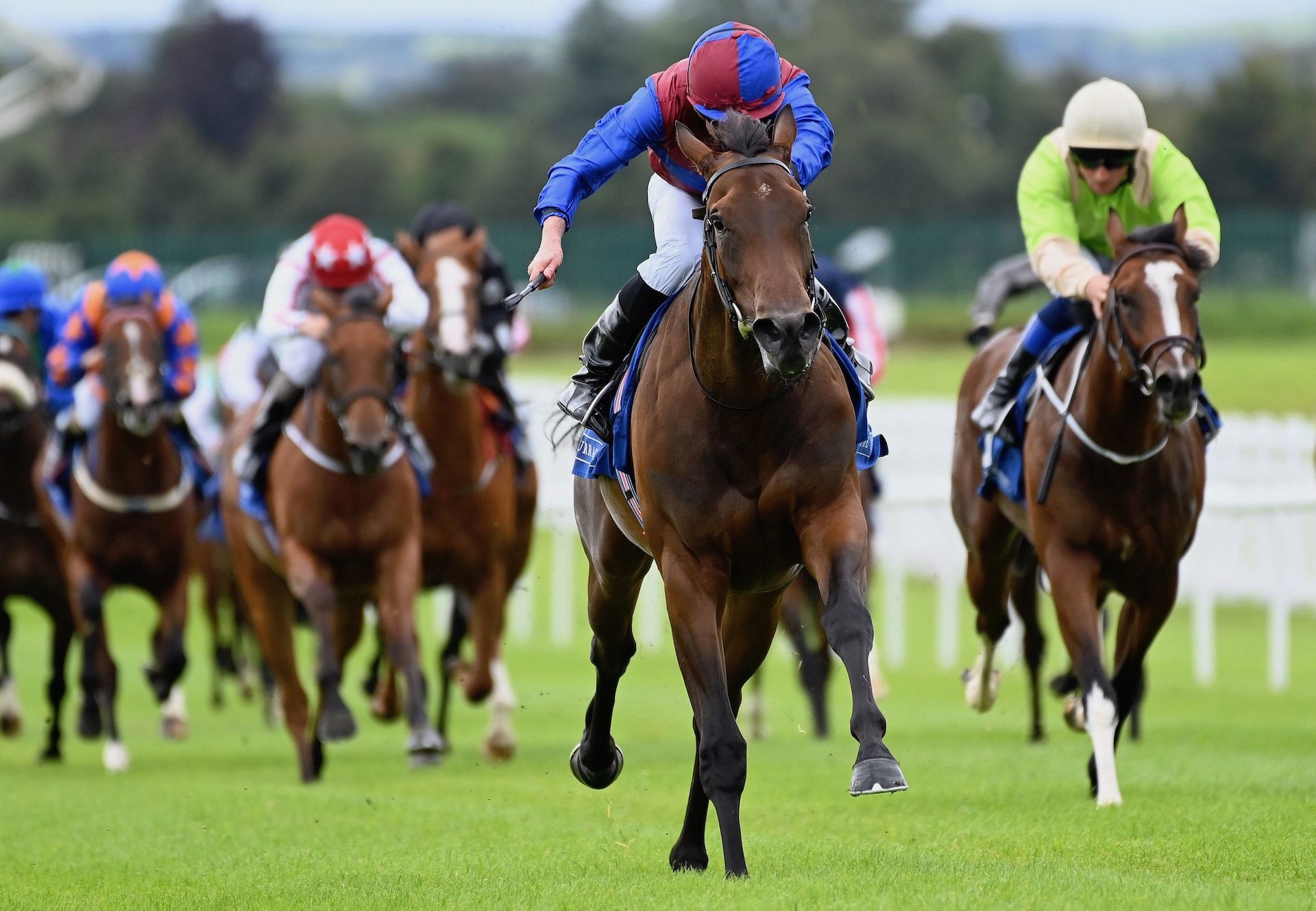 Cherry Blossom (No Nay Never) Impresses At The Curragh